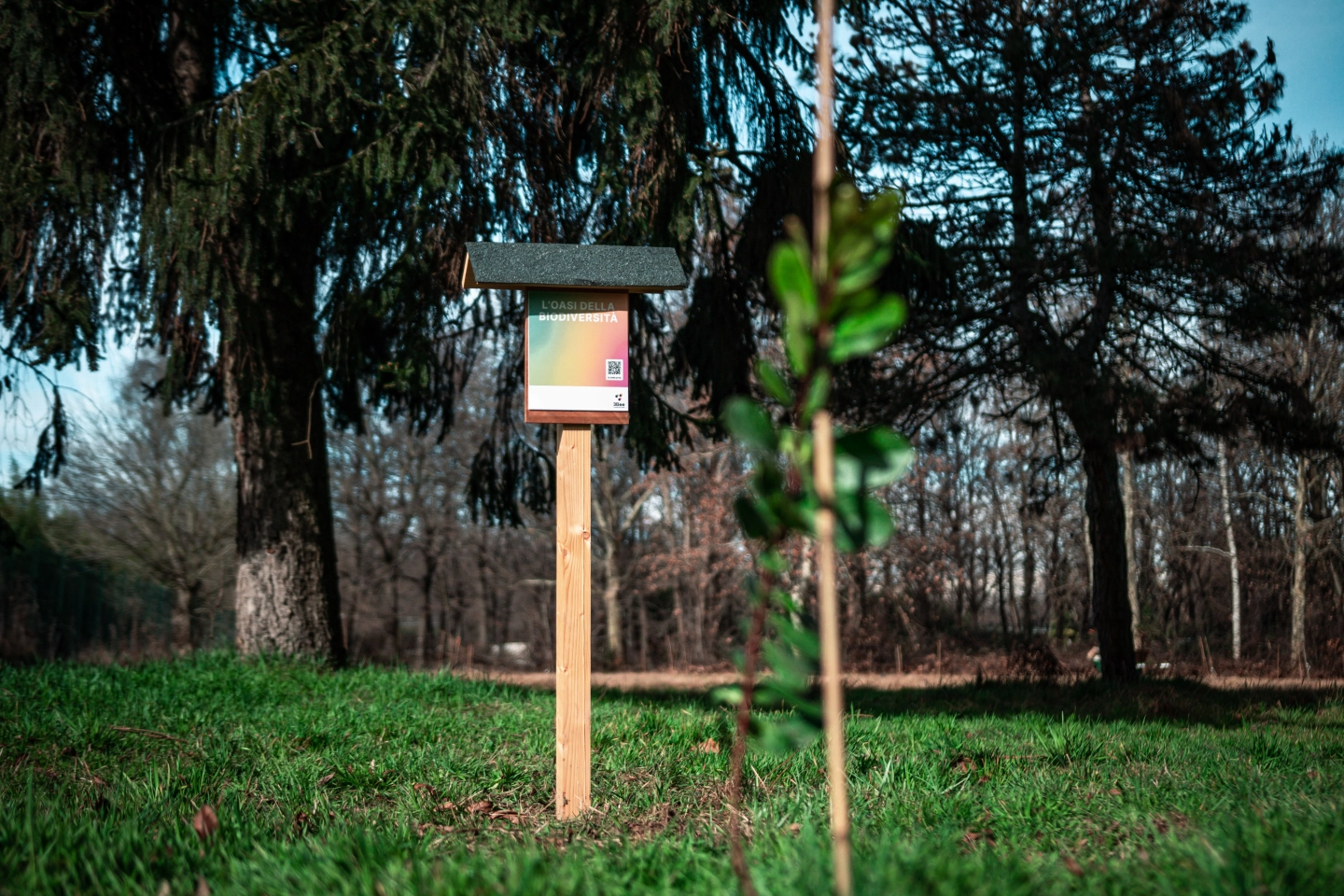 /images/components/Regeneration/Awards/GrowersGallerySection/18.webp