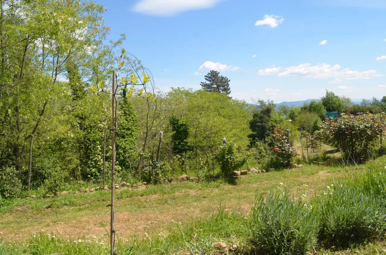 Pequeña Oasis