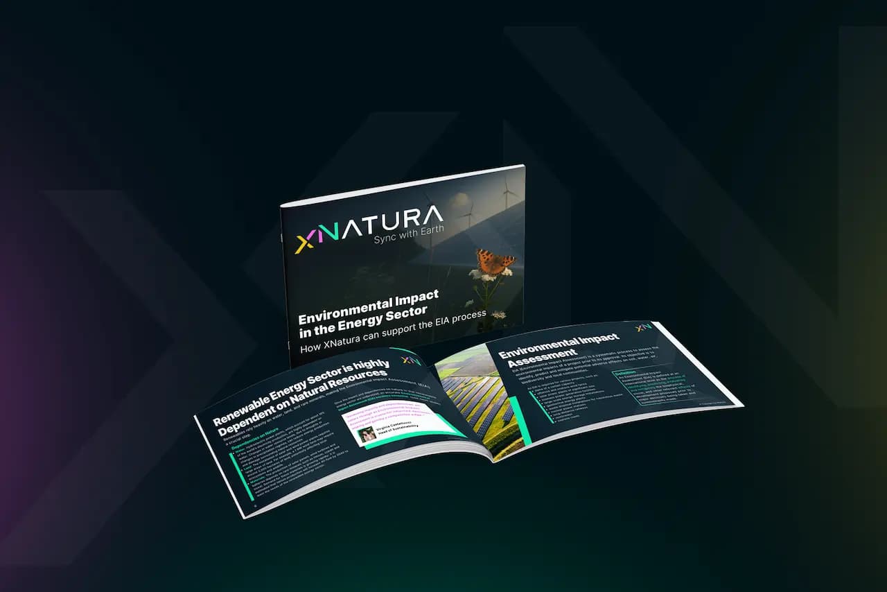 Impacto ambiental en el sector energético - Cómo XNatura puede apoyar el proceso de EIA