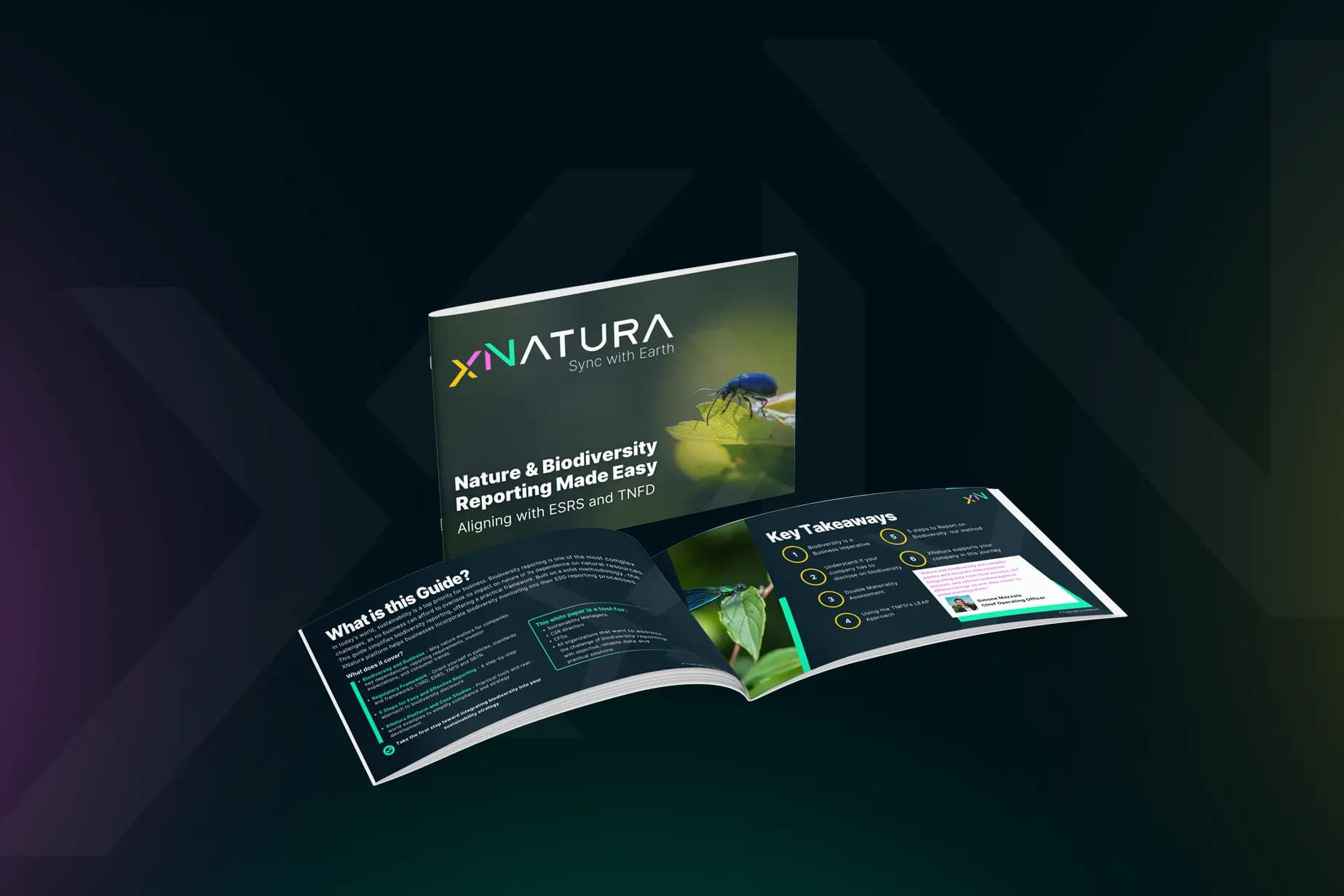 Nature and Biodiversity Reporting Made Easy