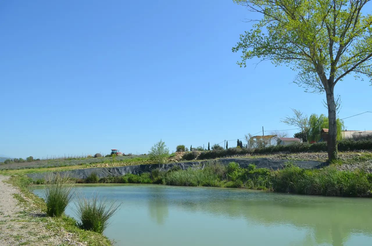 Biolake