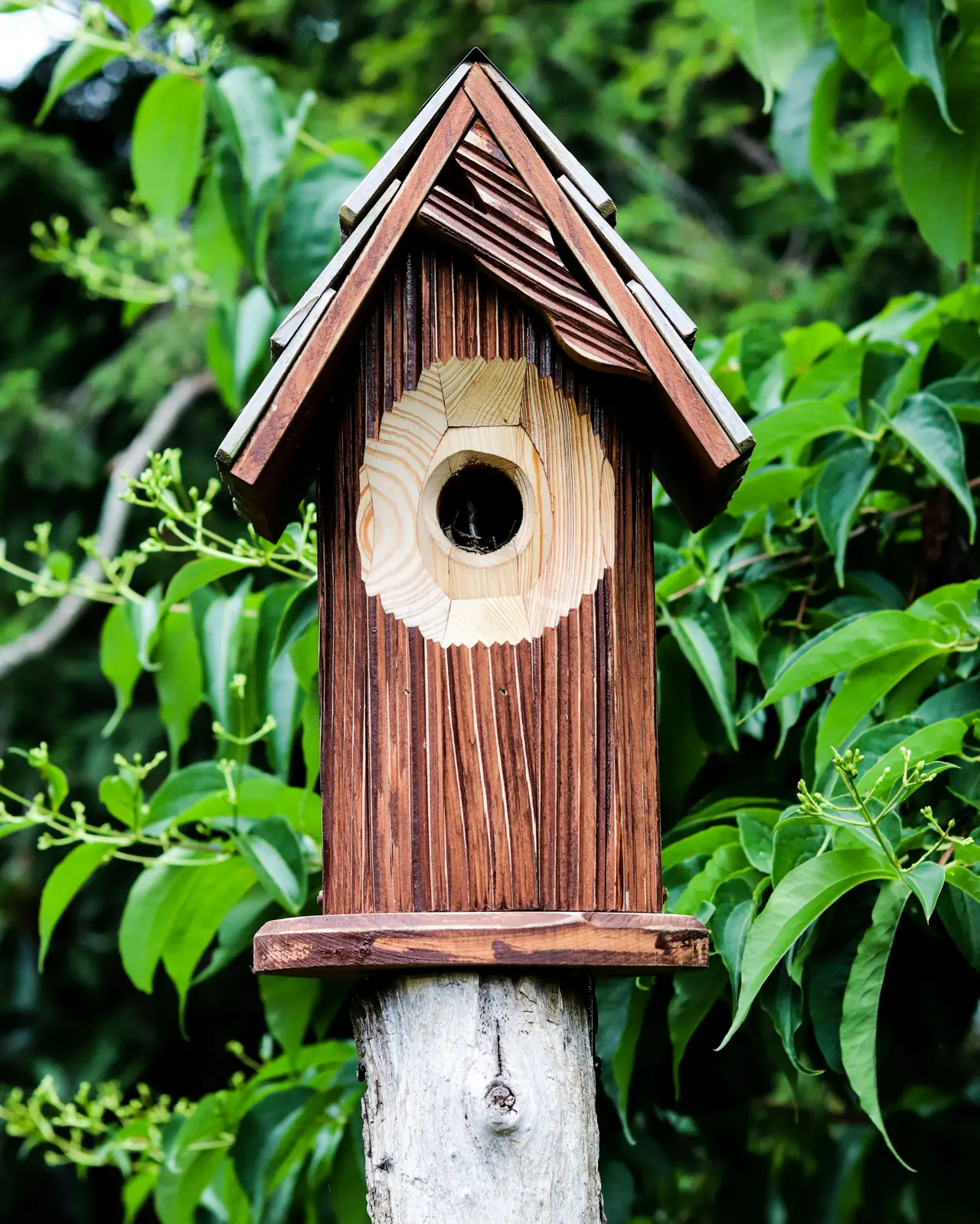 Birdhouses