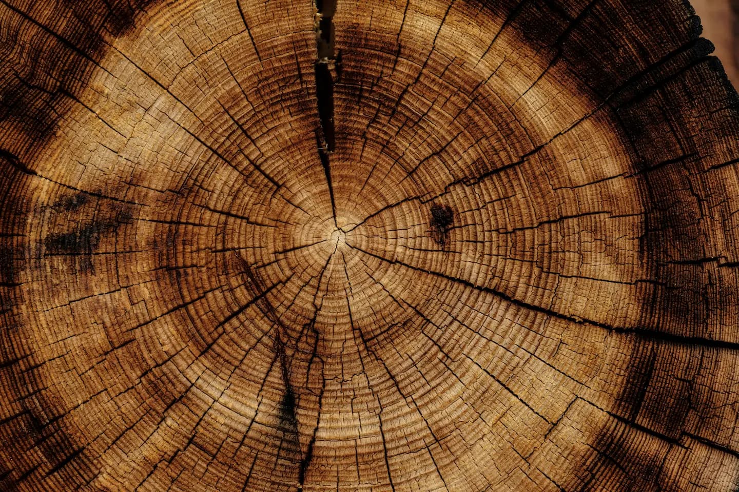 Wood management