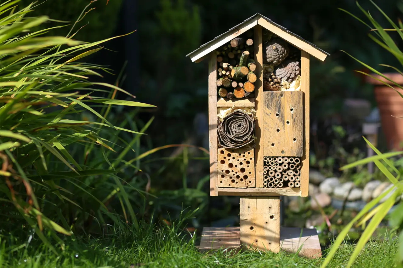 Pollinator shelters
