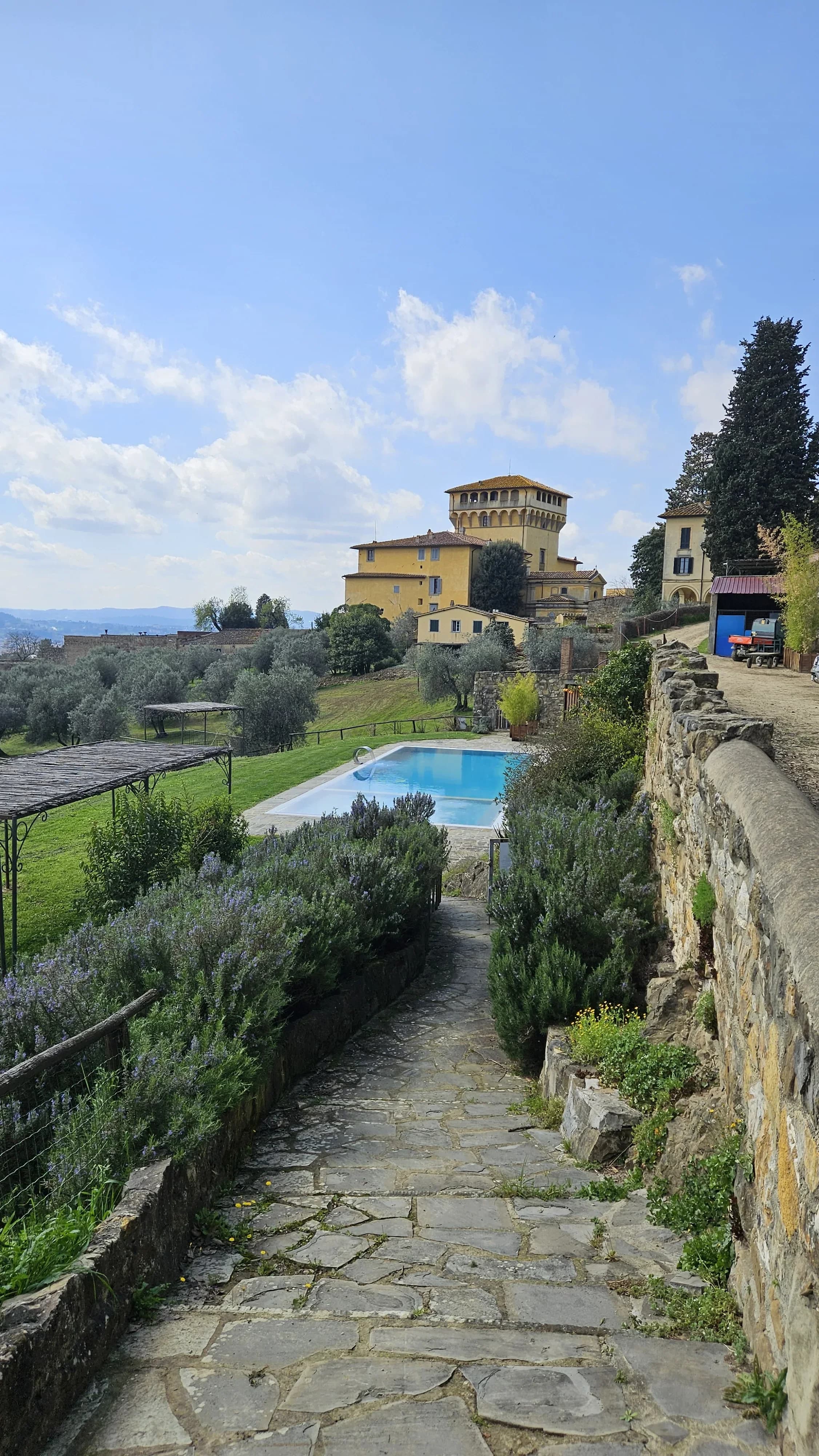 Fattoria di Maiano landscape