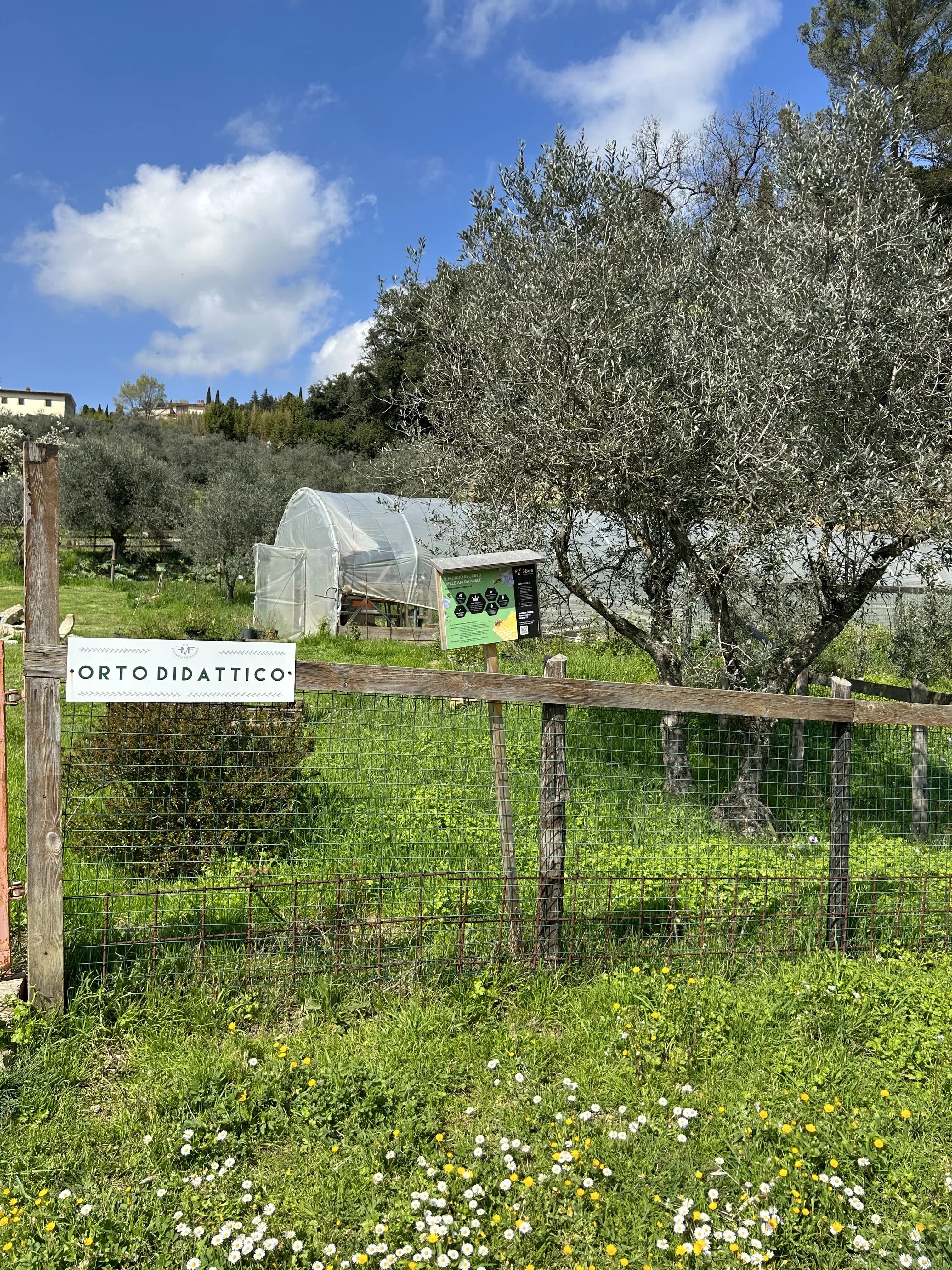 Fattoria di Maiano vegetable garden