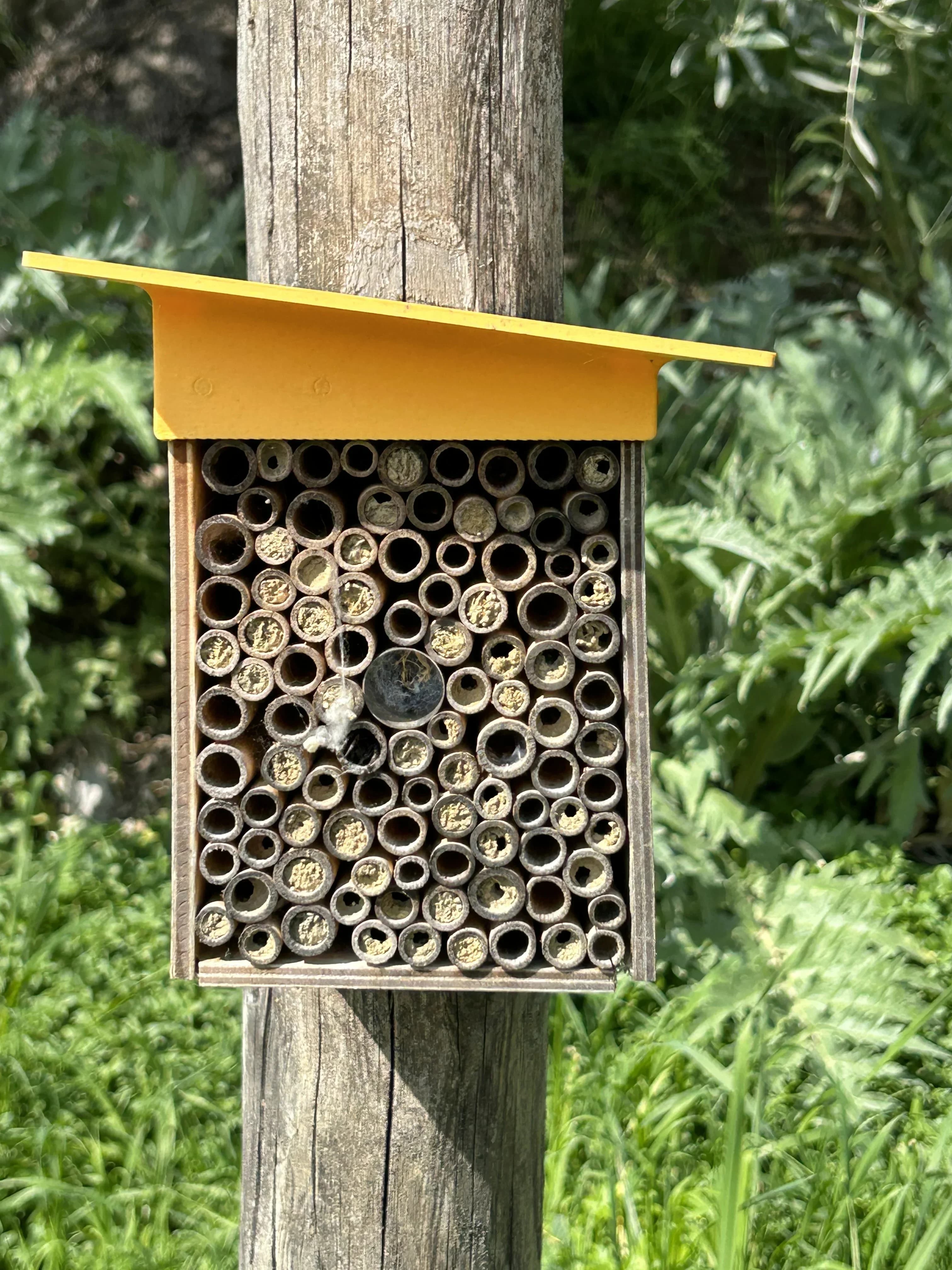 Fattoria di Maiano pollinator shelter