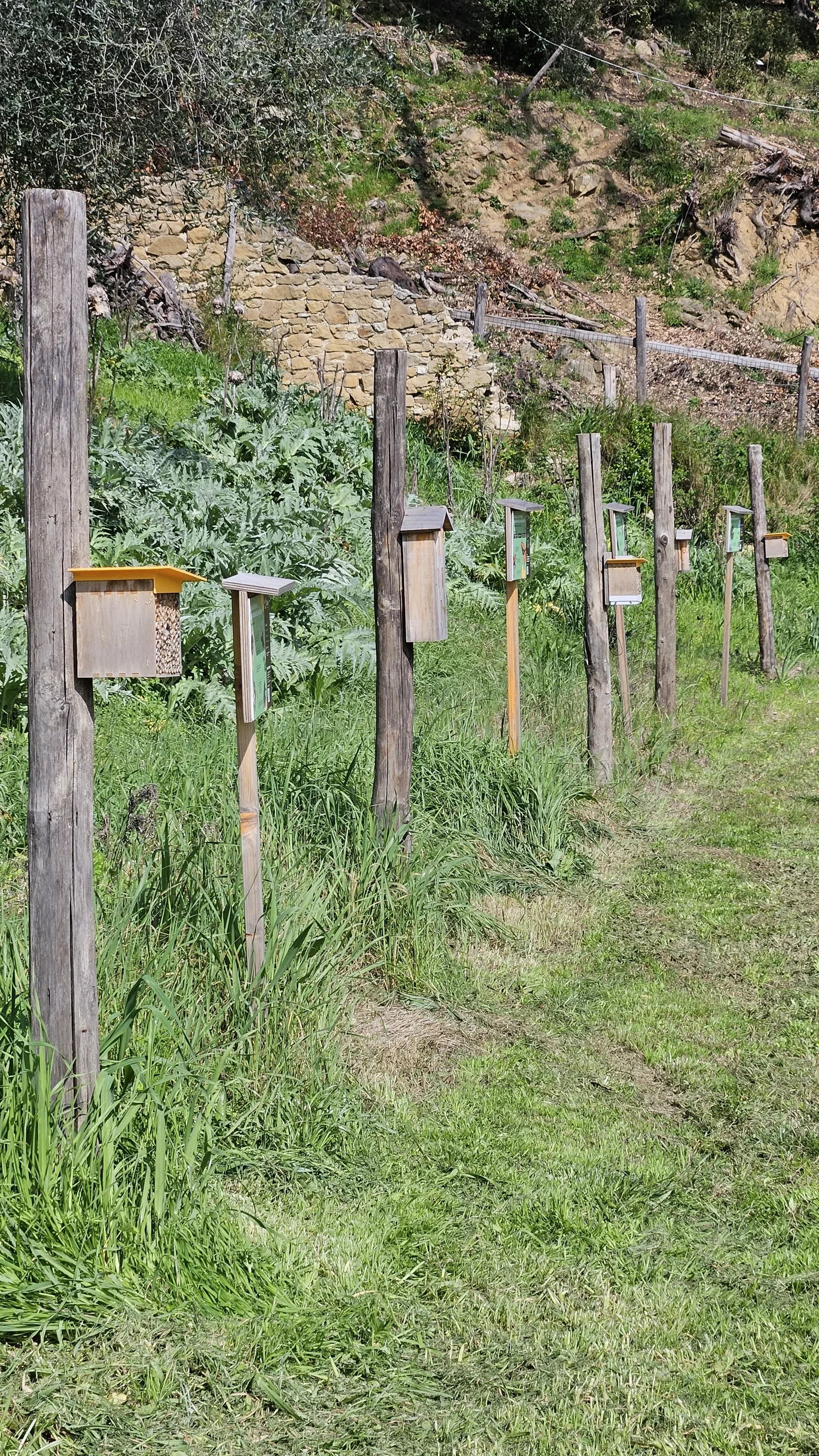 Fattoria di Maiano pollinator shelter detail