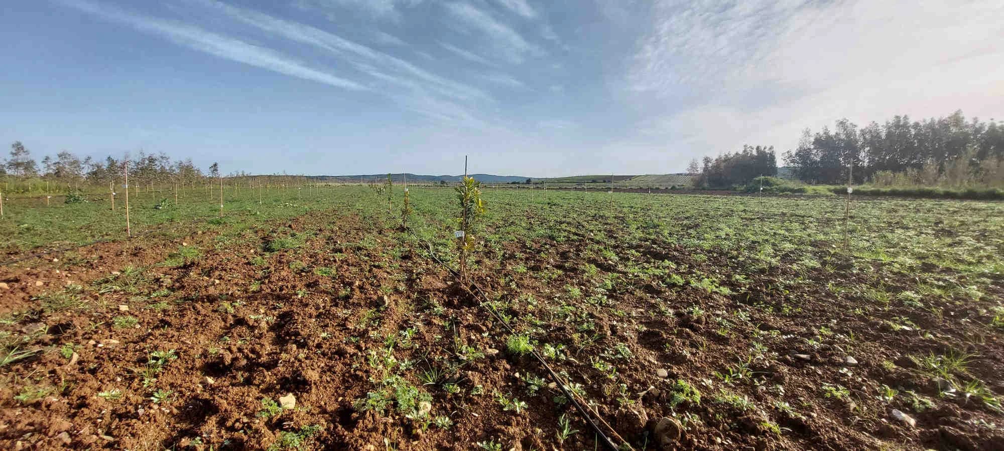 Oasi della Biodiversita Sardegna panoramica