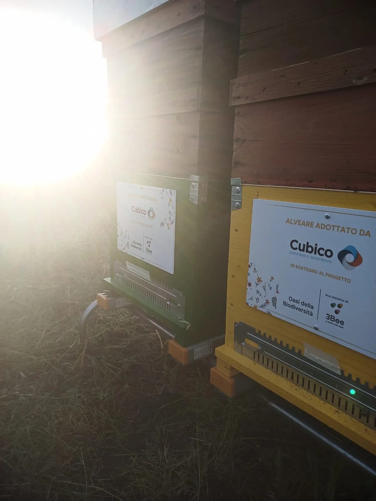Hive-Tech beehive at Cubico plant