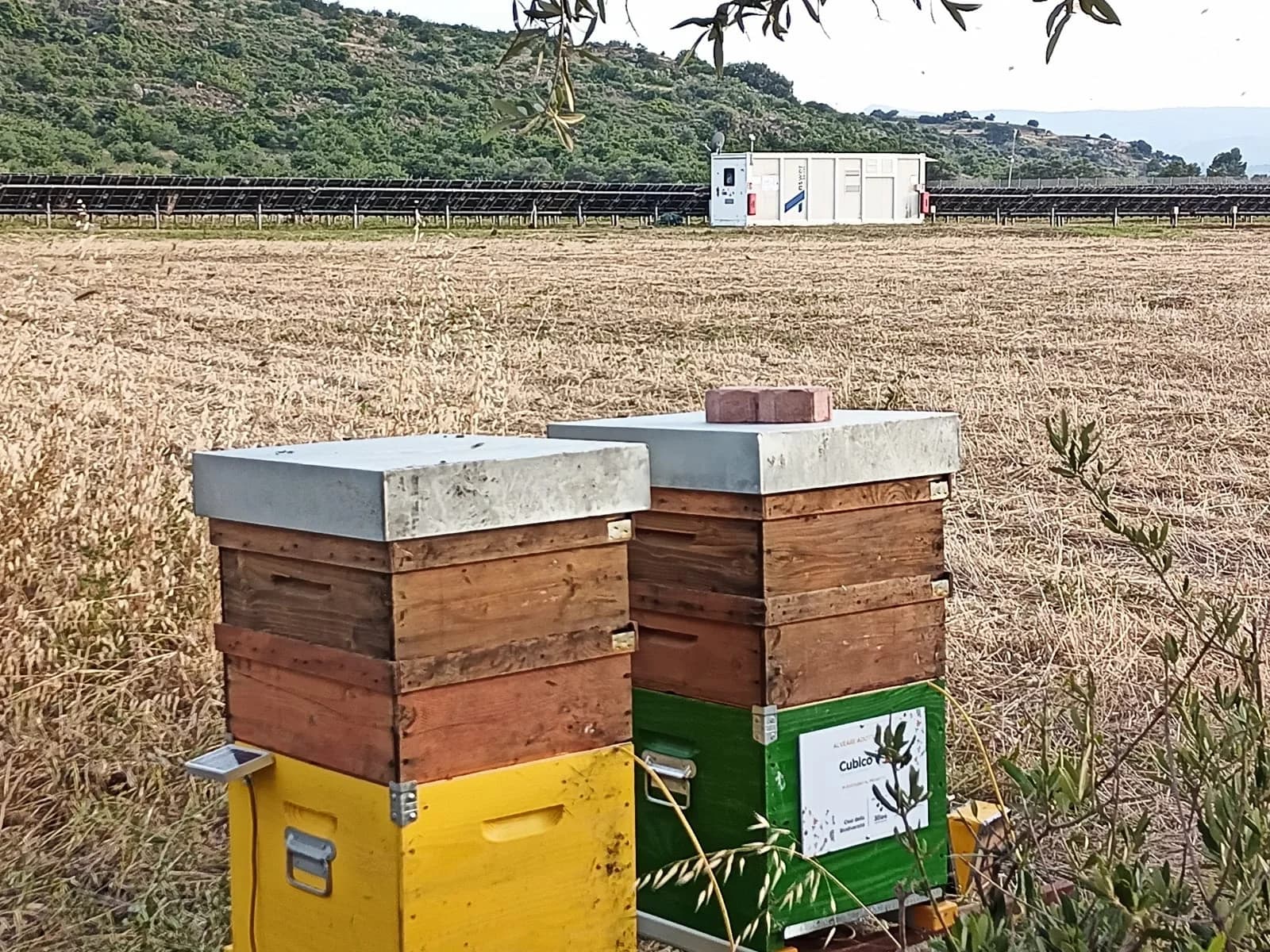 Hive-Tech beehive detail