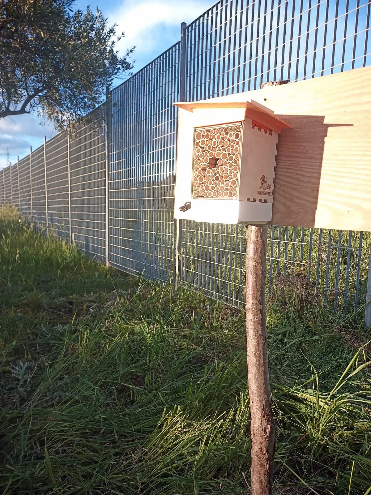 PollyX sensor at Cubico site