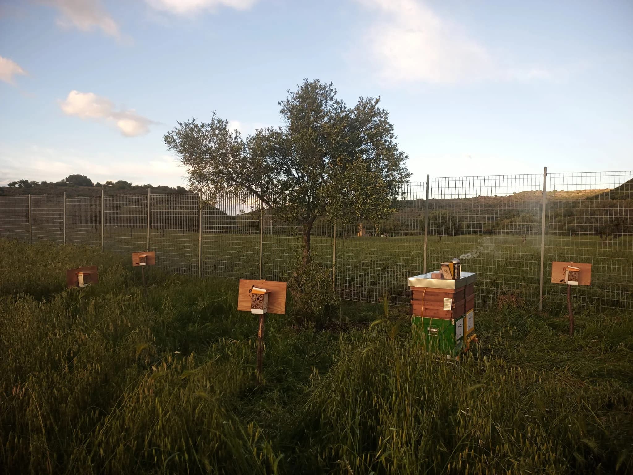 PollyX sensors installed at Cubico site
