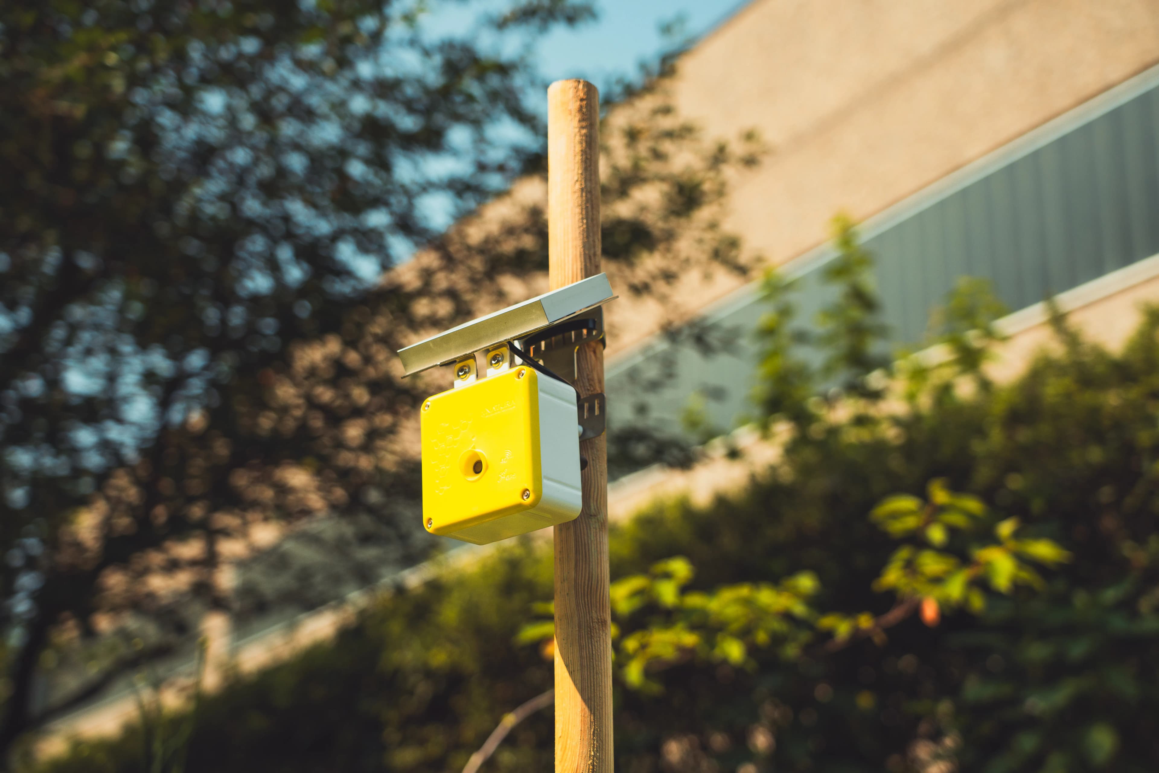 Edison Next Spectrum sensor - BeeNEXT Oasis