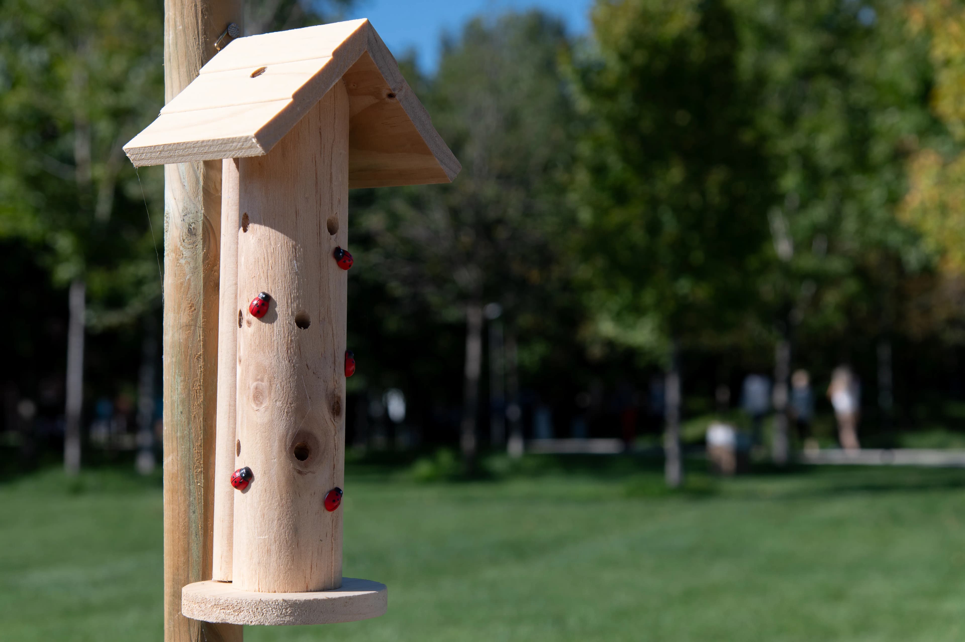 Pollinator shelter in the Green Life Park