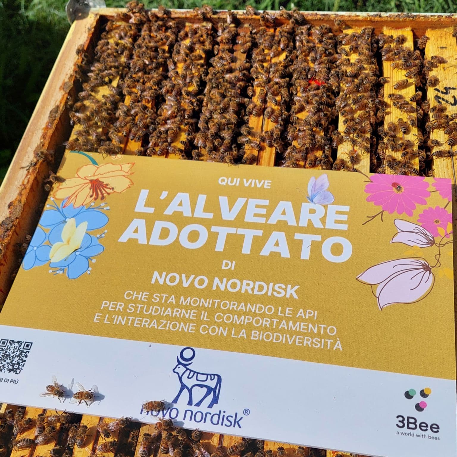 Novo Nordisk beehive