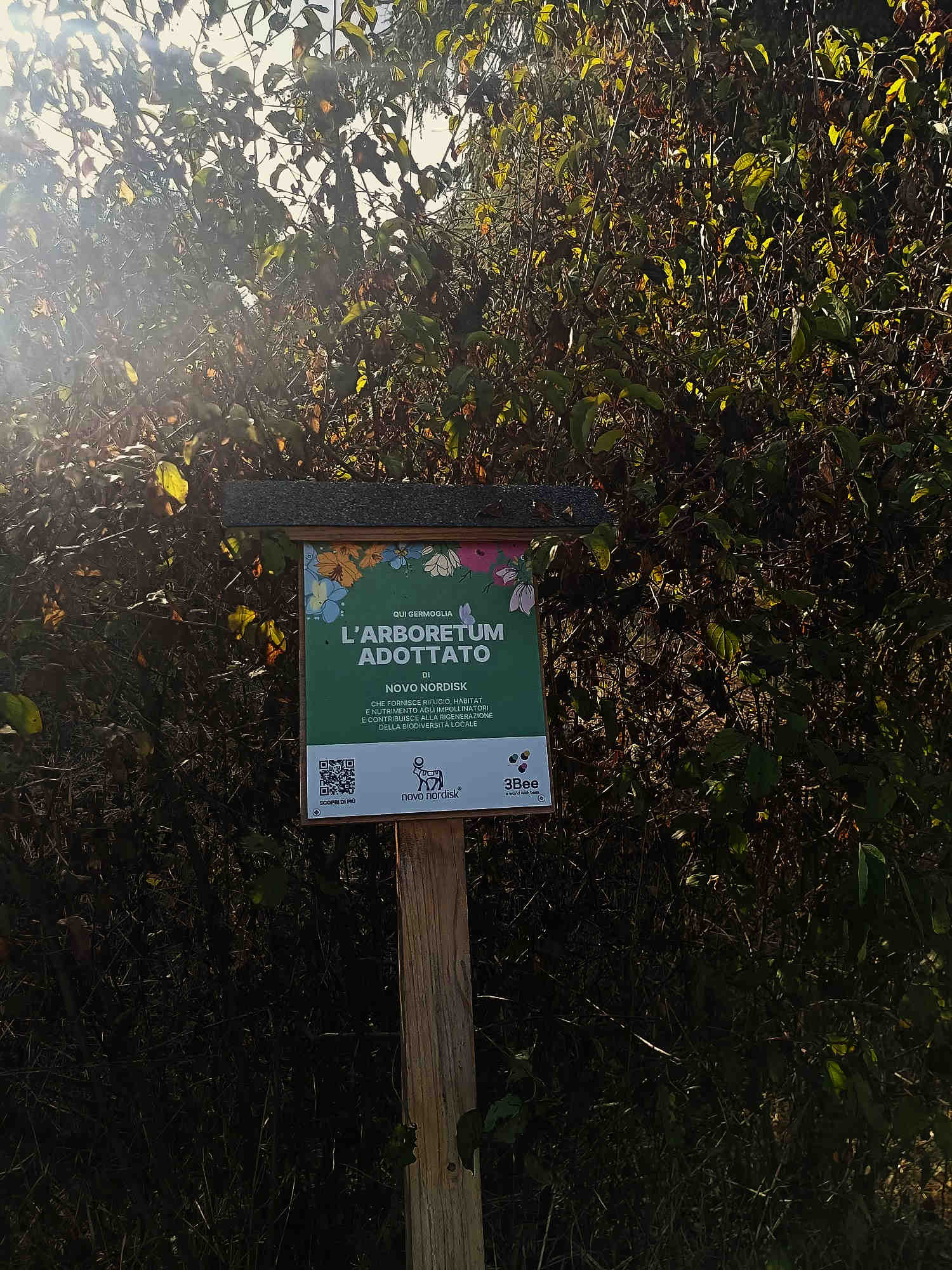 Novo Nordisk arboretum