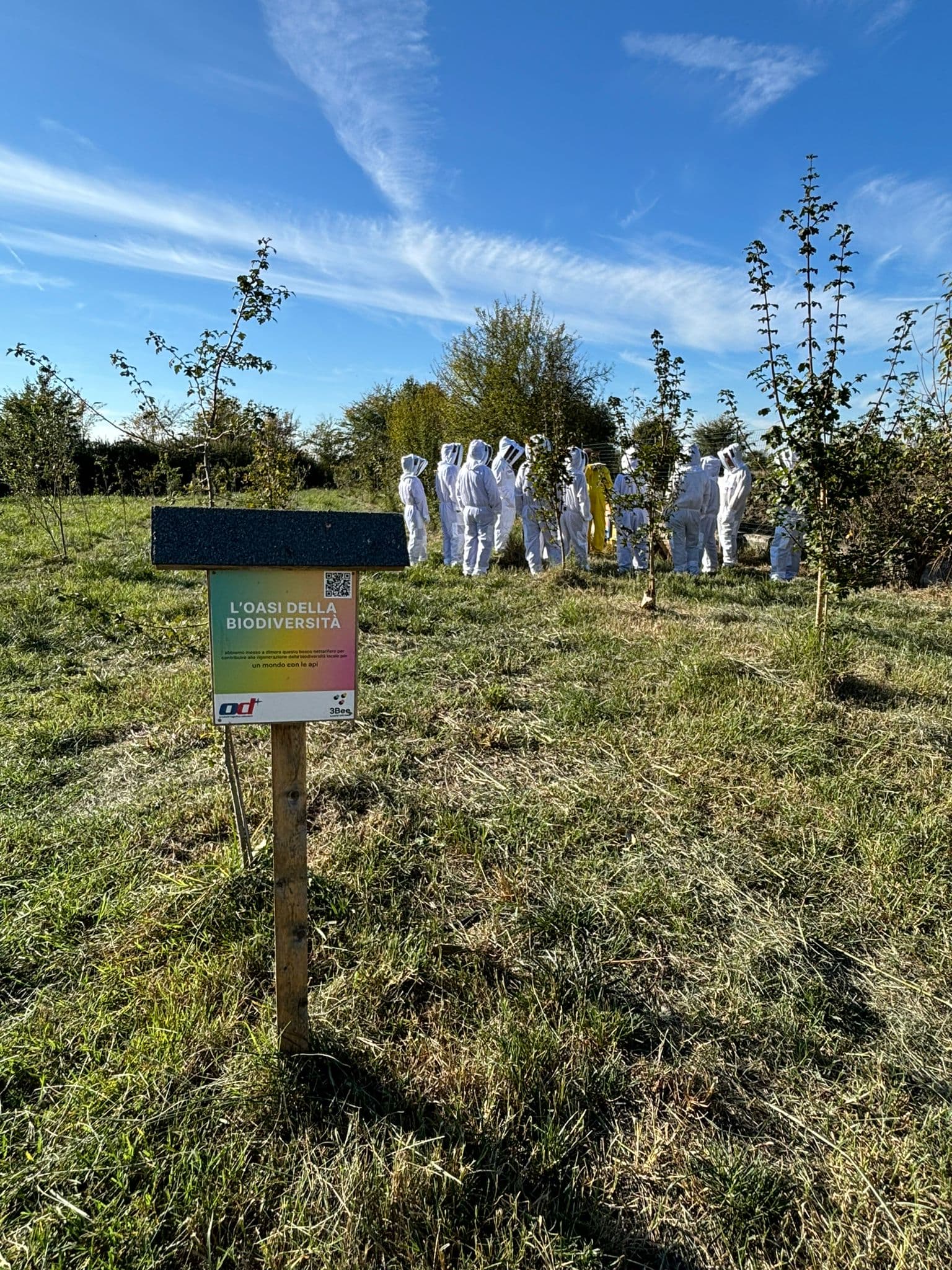 OD+ Beekeeper for a Day