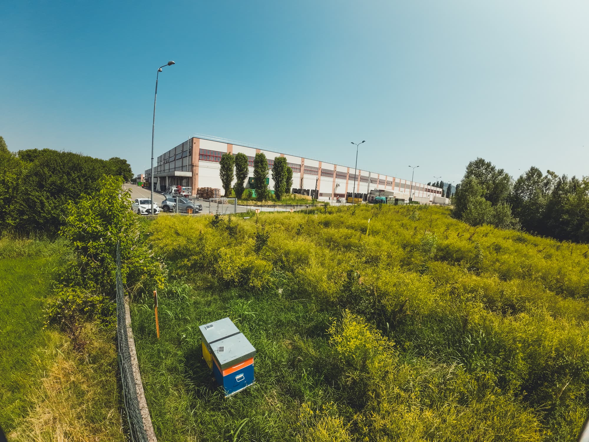 OD+ oasi della biodiversità