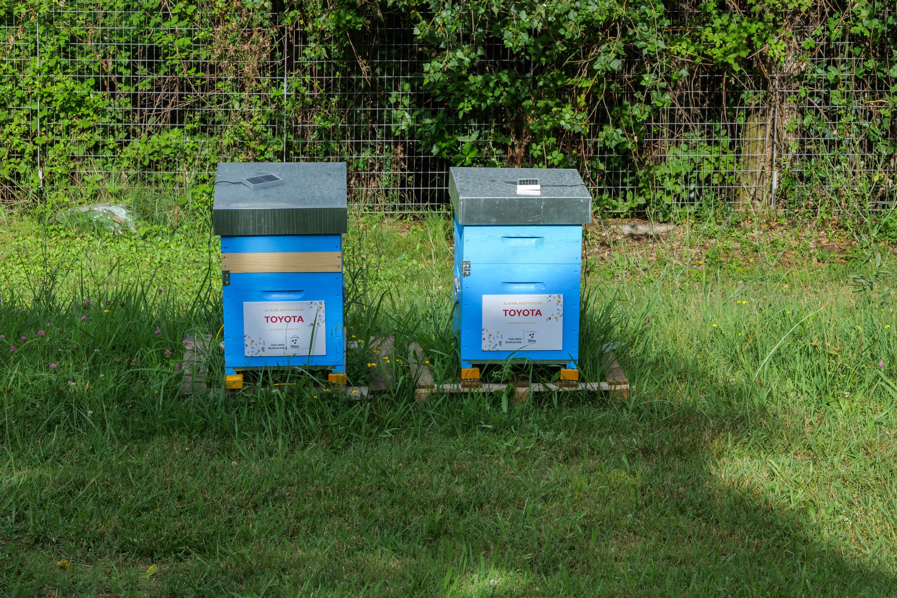 Toyota Hive-Tech beehives