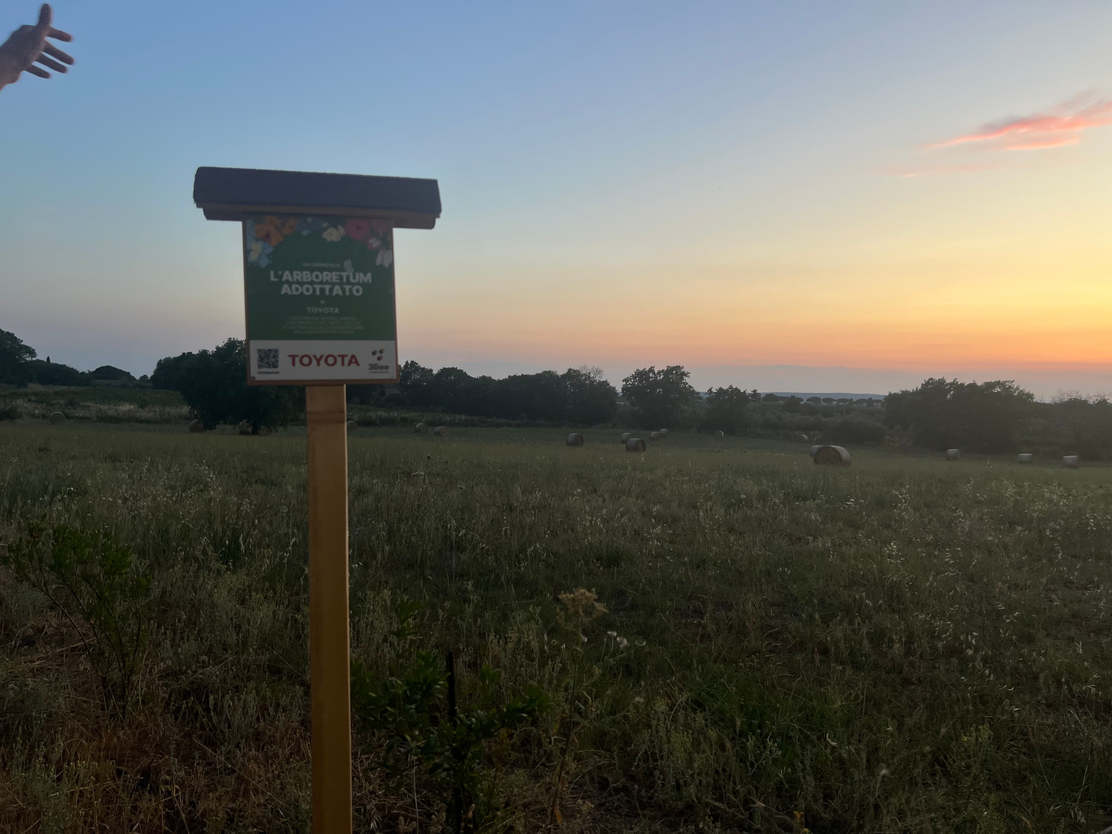 Toyota biodiversity oasis