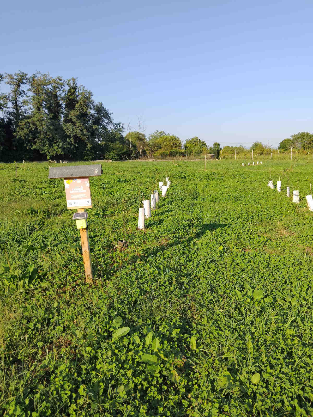 Air Dolomiti biodiversity area