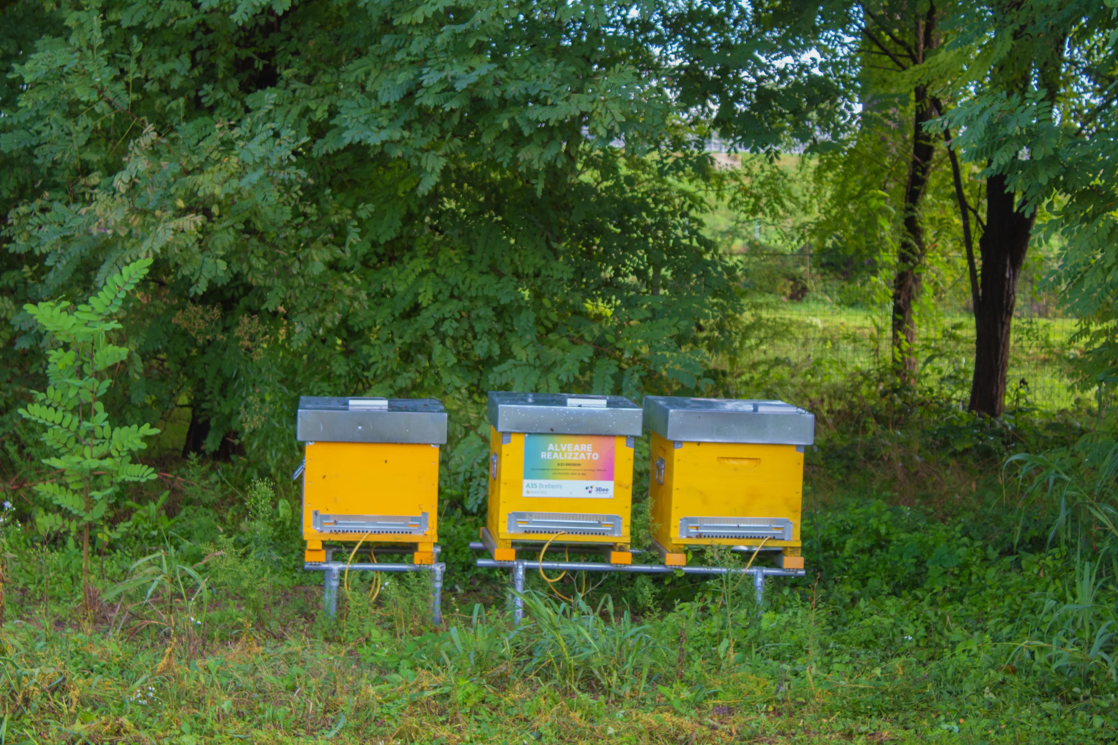 Brebemi - Hive-Tech alveare sensorizzato