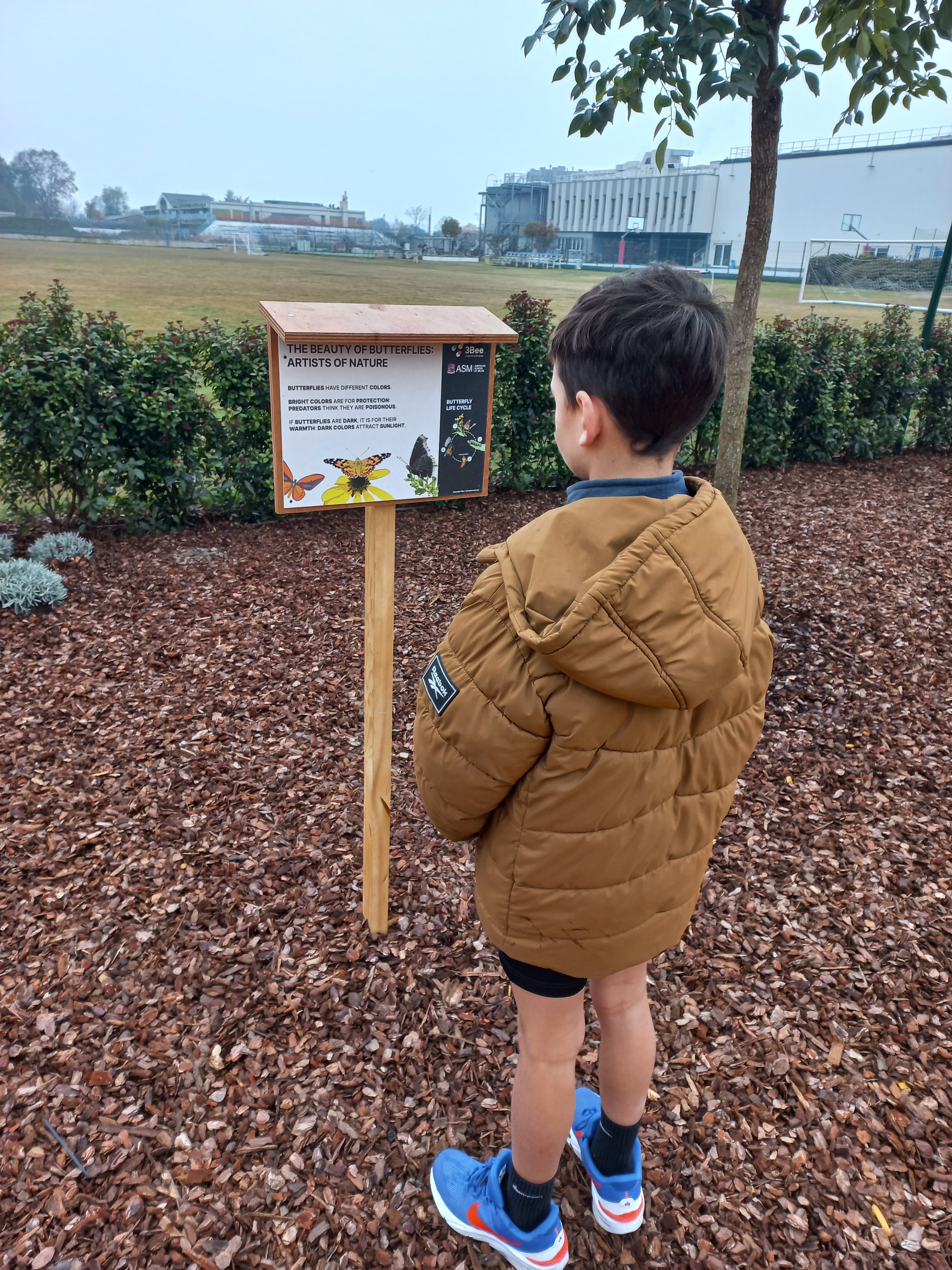 Educational sign along the Learning Forest path