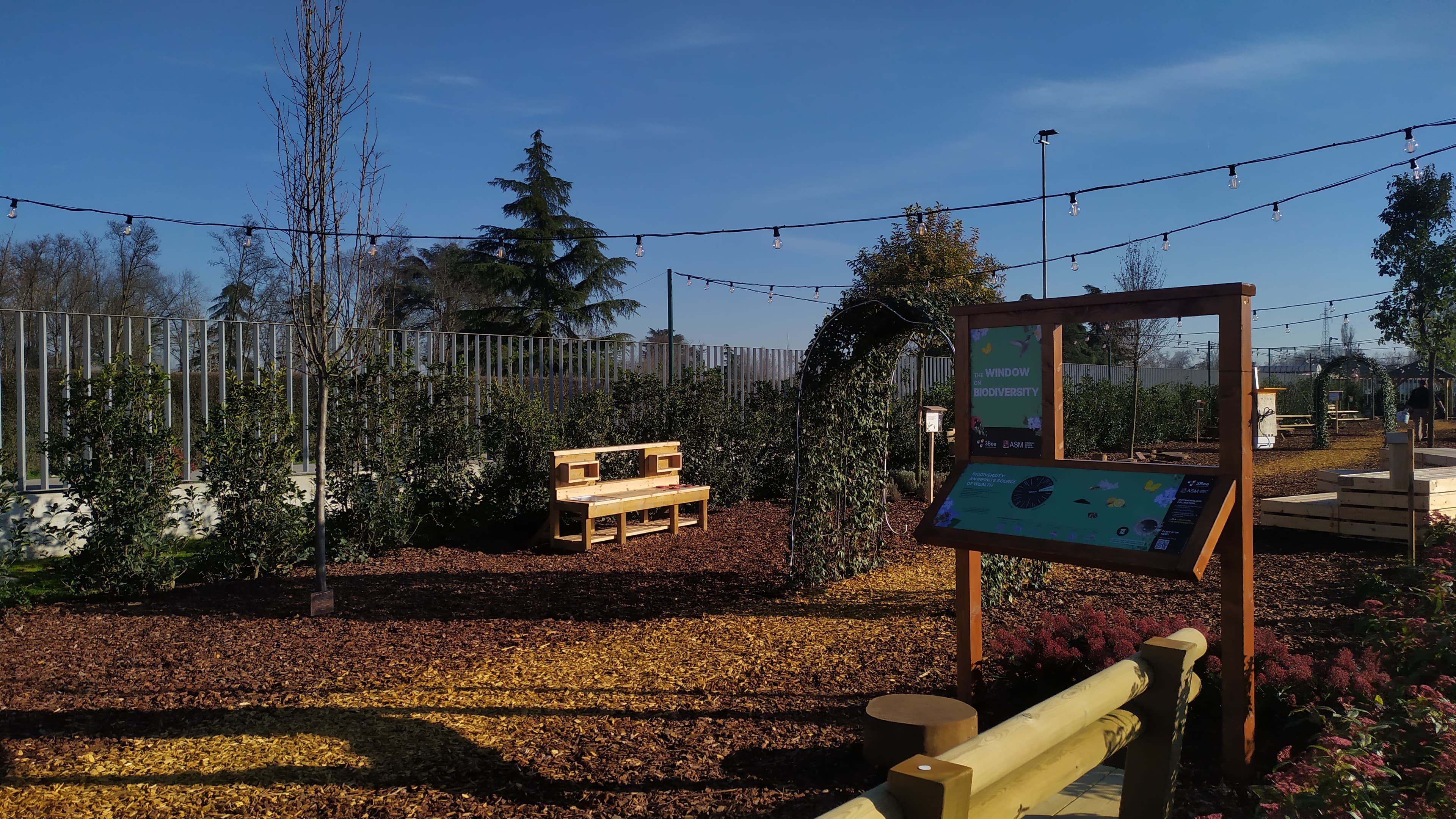 View from the Learning Forest structures