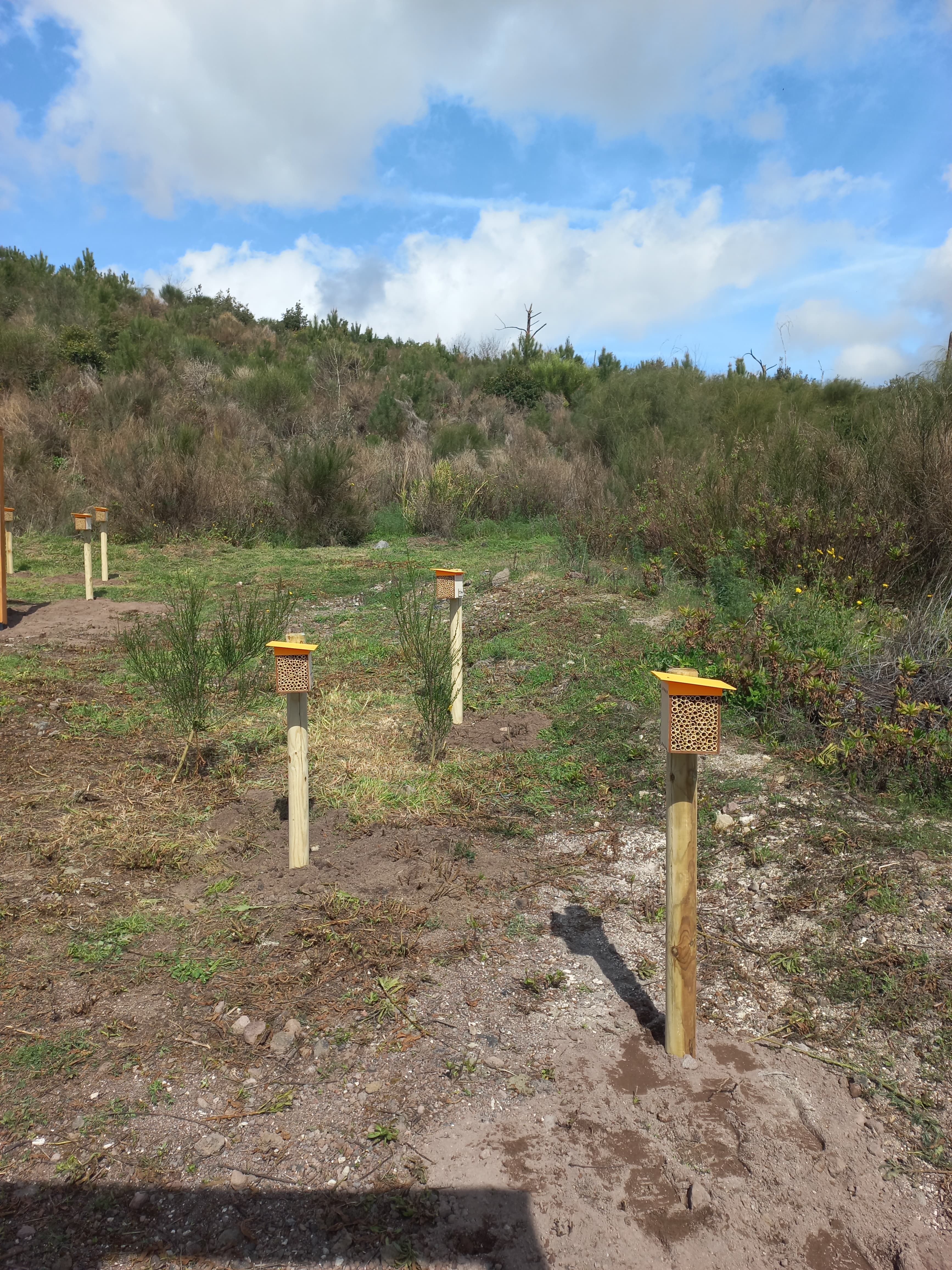 PollyX sensor in Vesuvius National Park