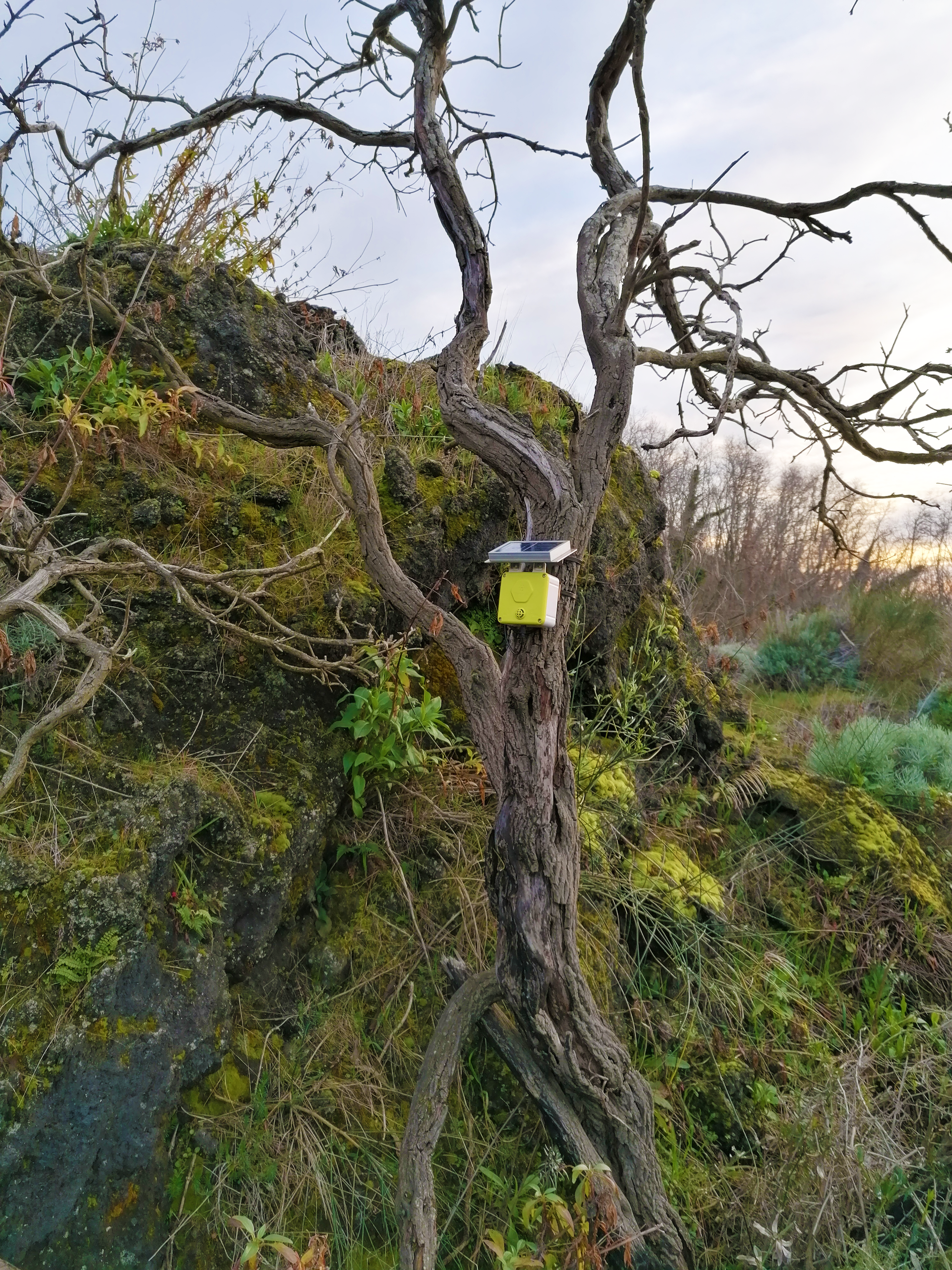 Spectrum sensor installed on Mount Vesuvius slopes