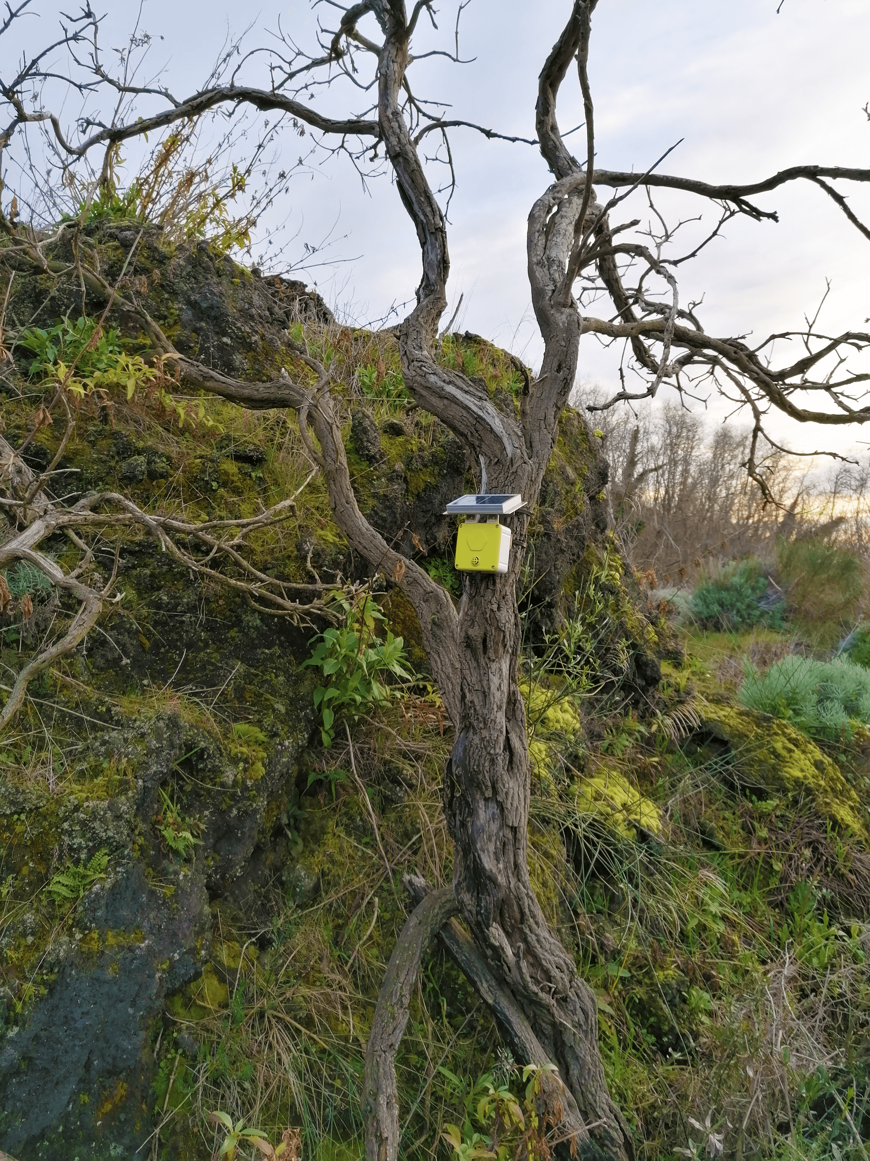 Spectrum sensor installed on Mount Vesuvius slopes