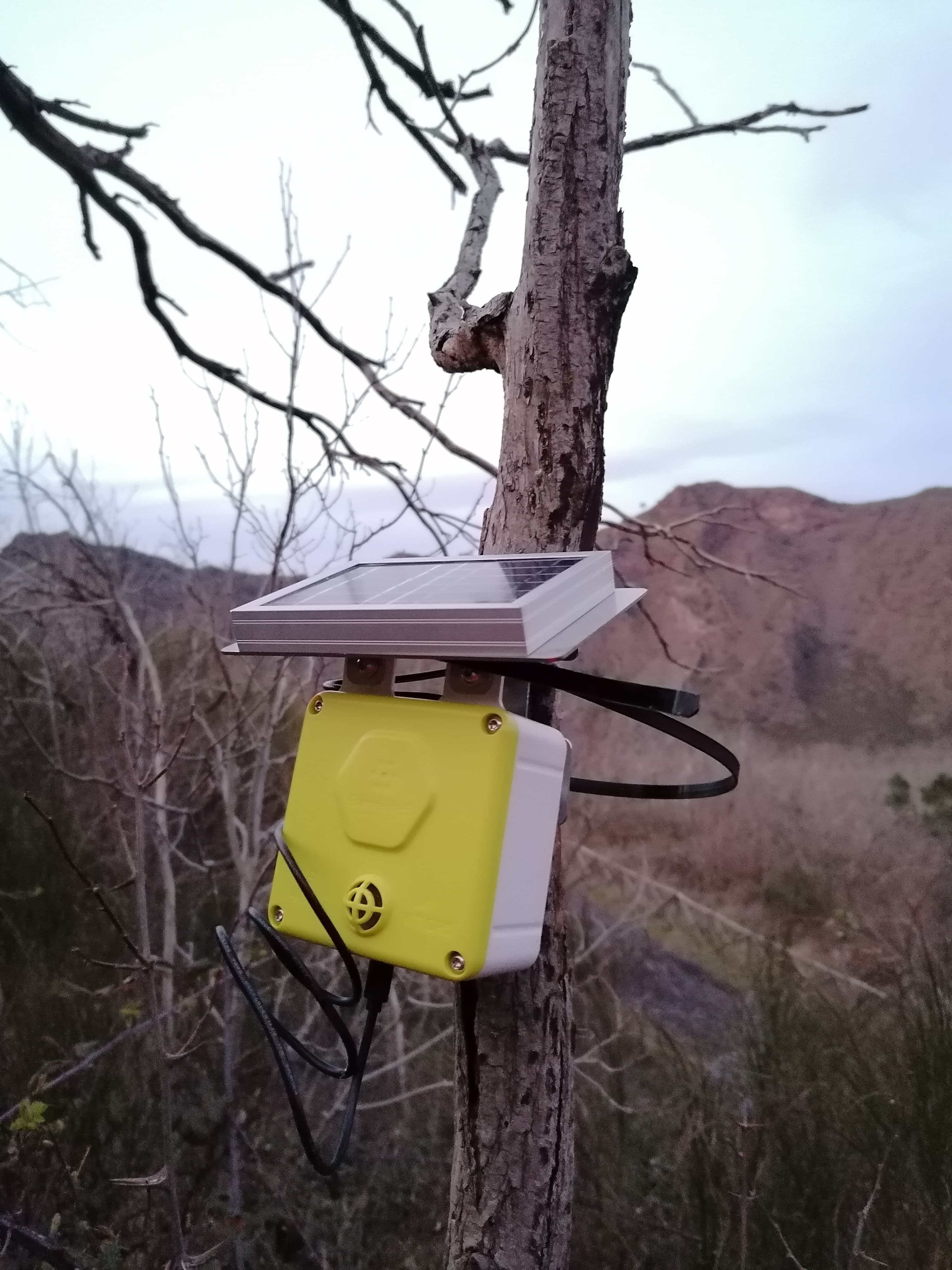 Spectrum sensor monitoring biodiversity on volcanic slopes