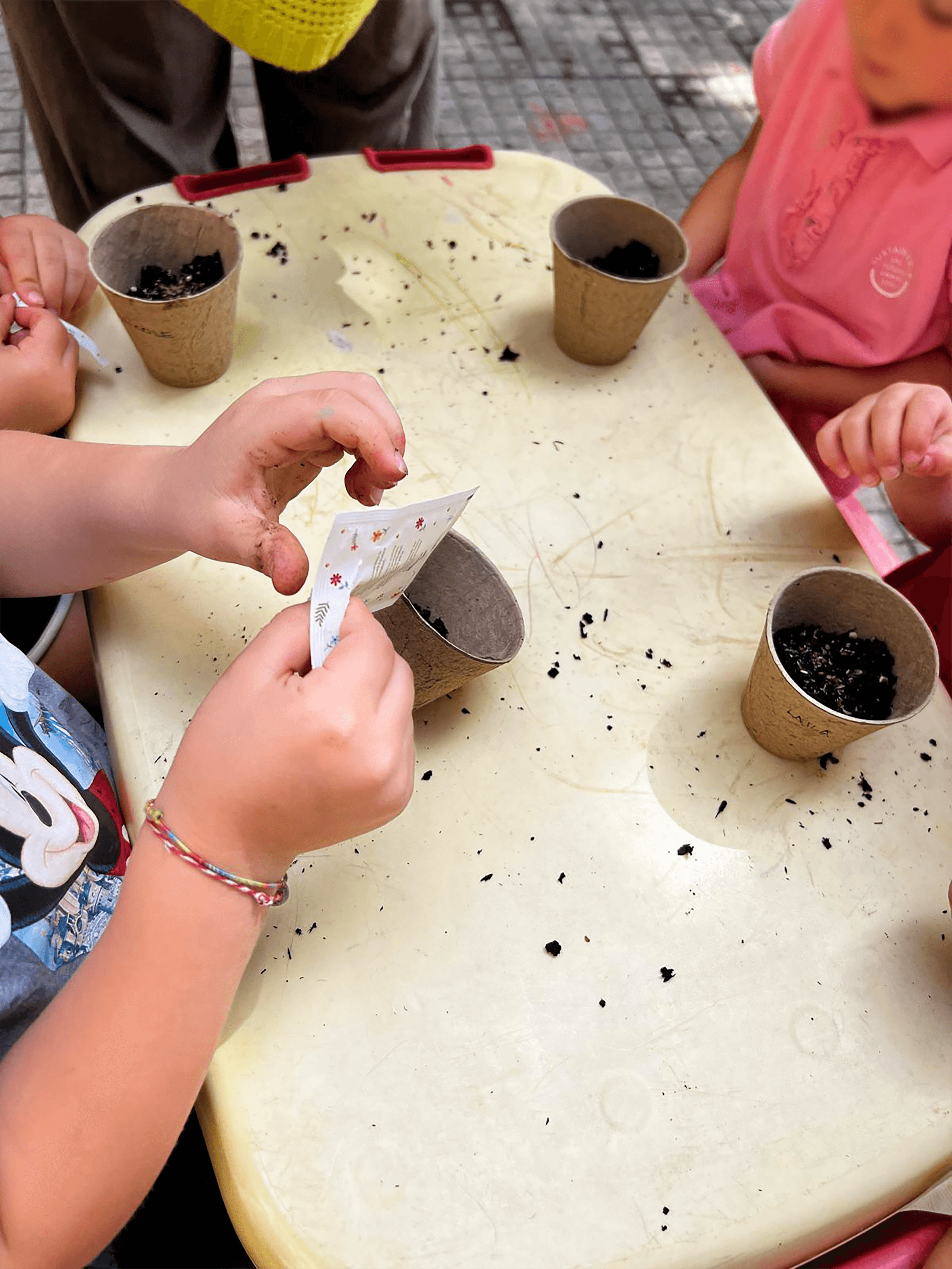 Bee Education activities with children in the park