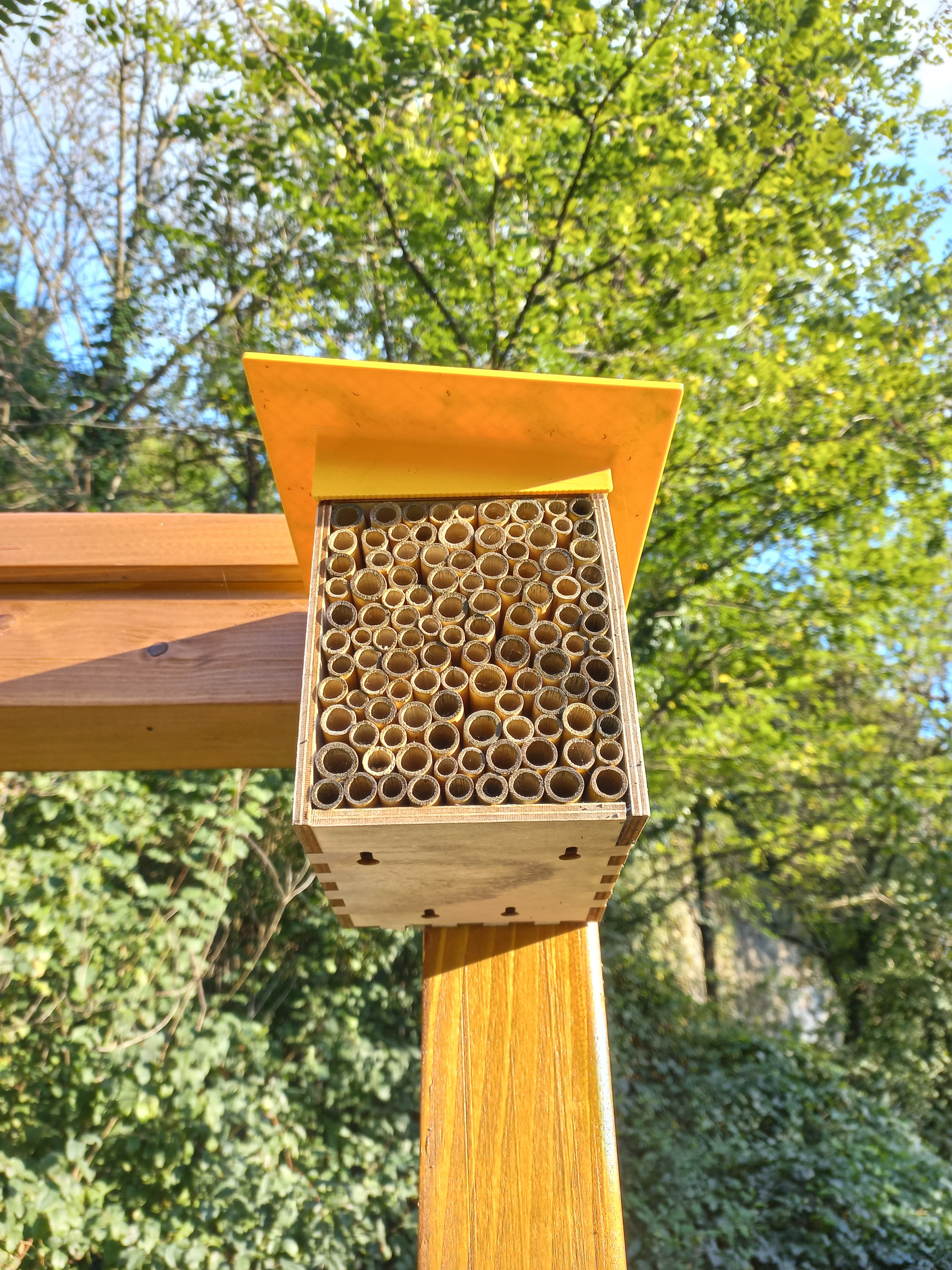 PollyX environmental monitoring device