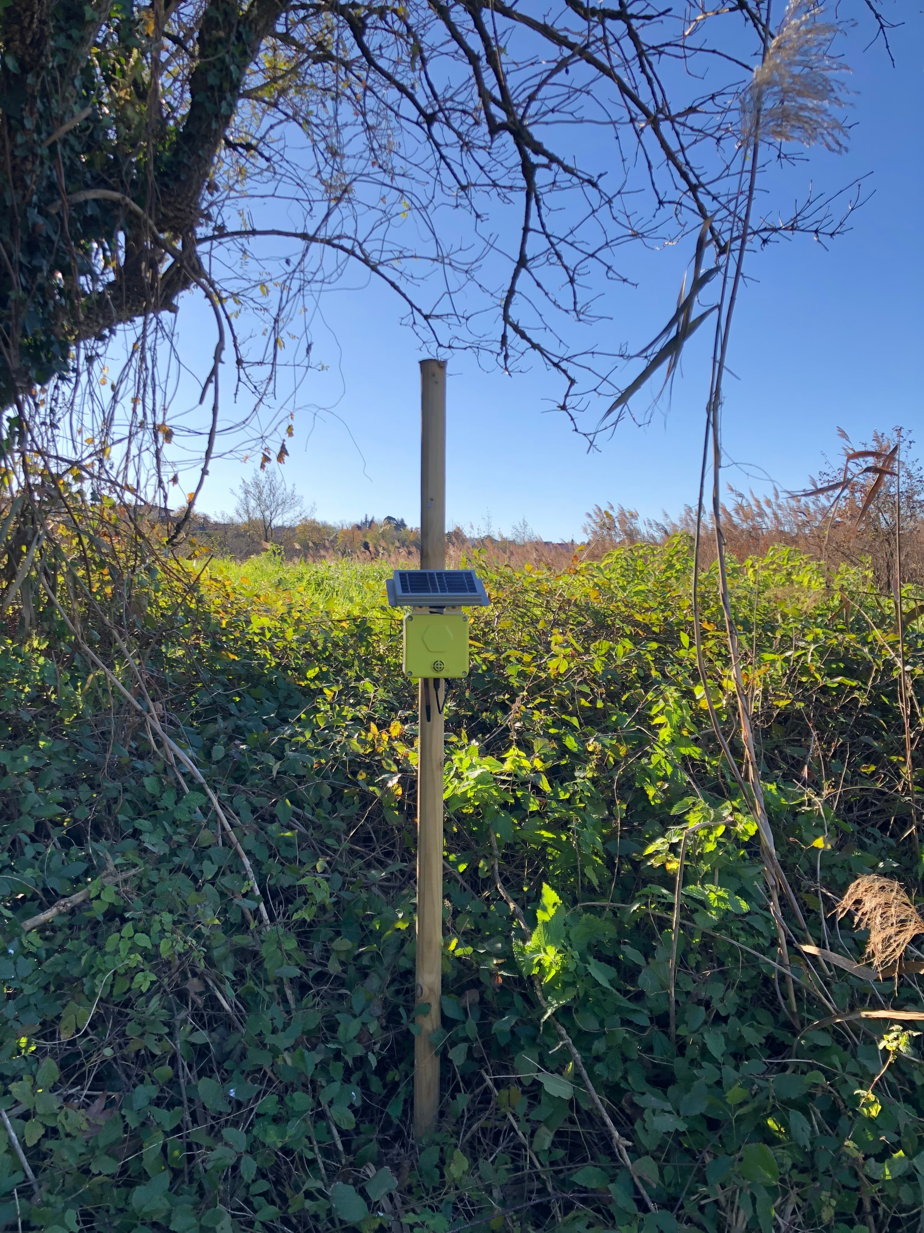 Spectrum sensor installed in the park