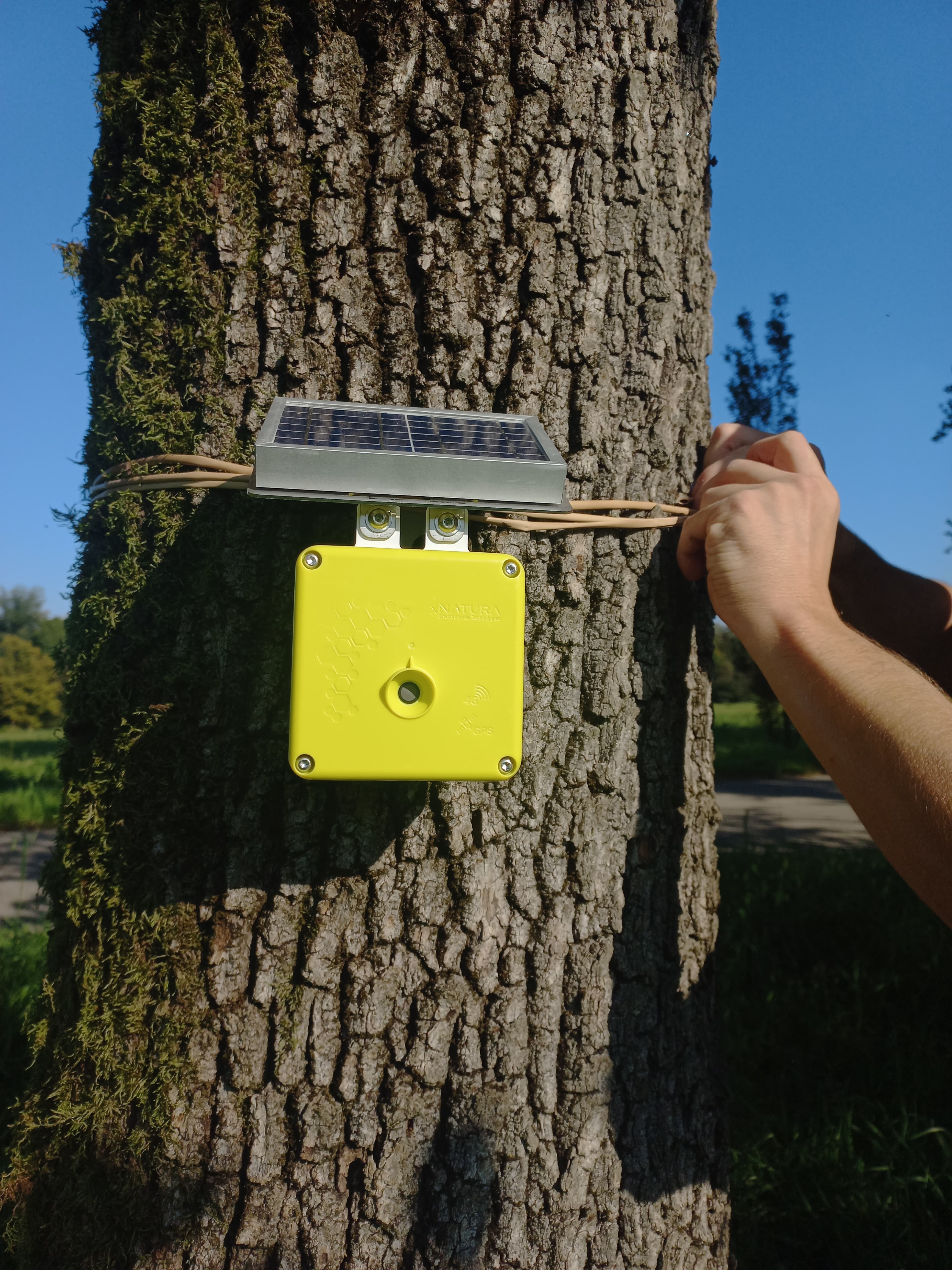 Spectrum sensor monitoring in the park