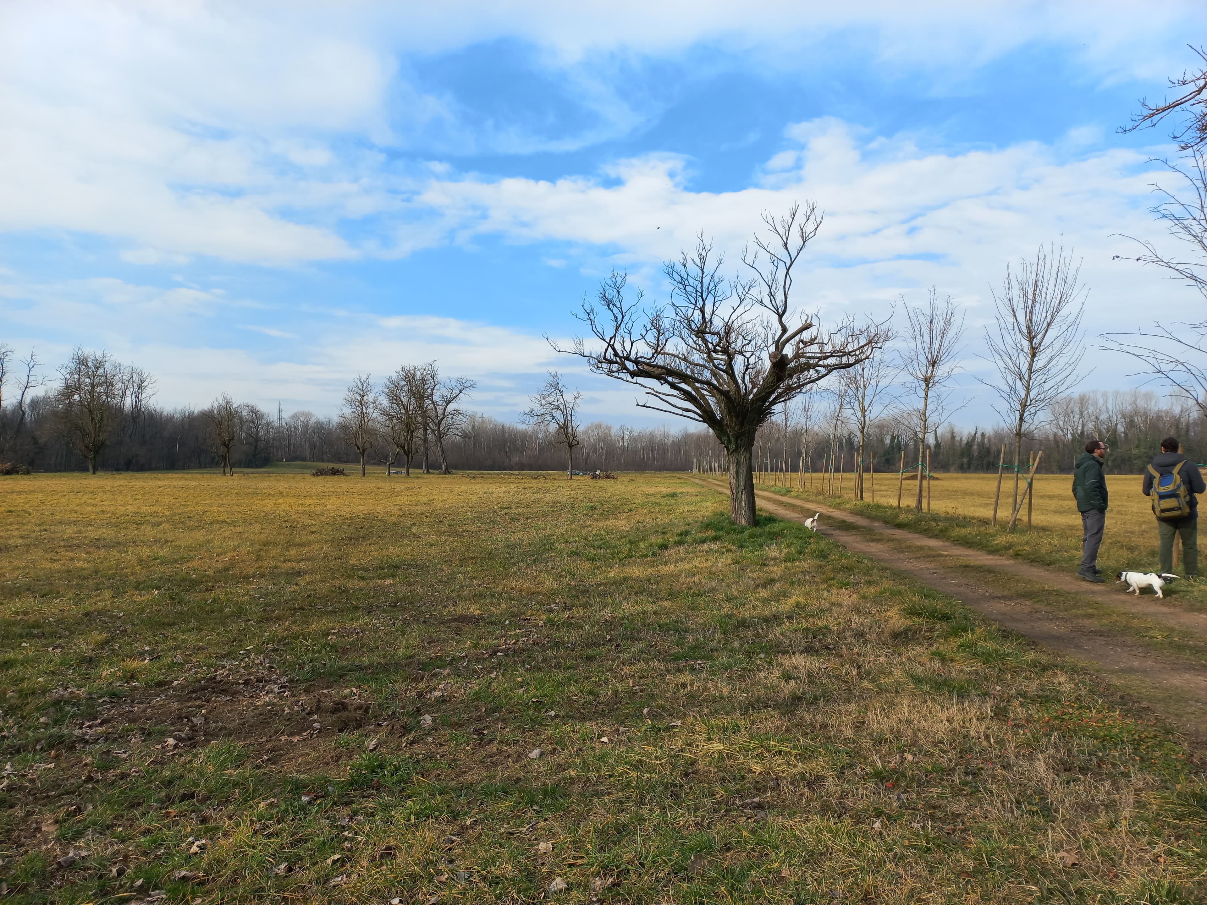 Parco delle Groane - Busnelli site