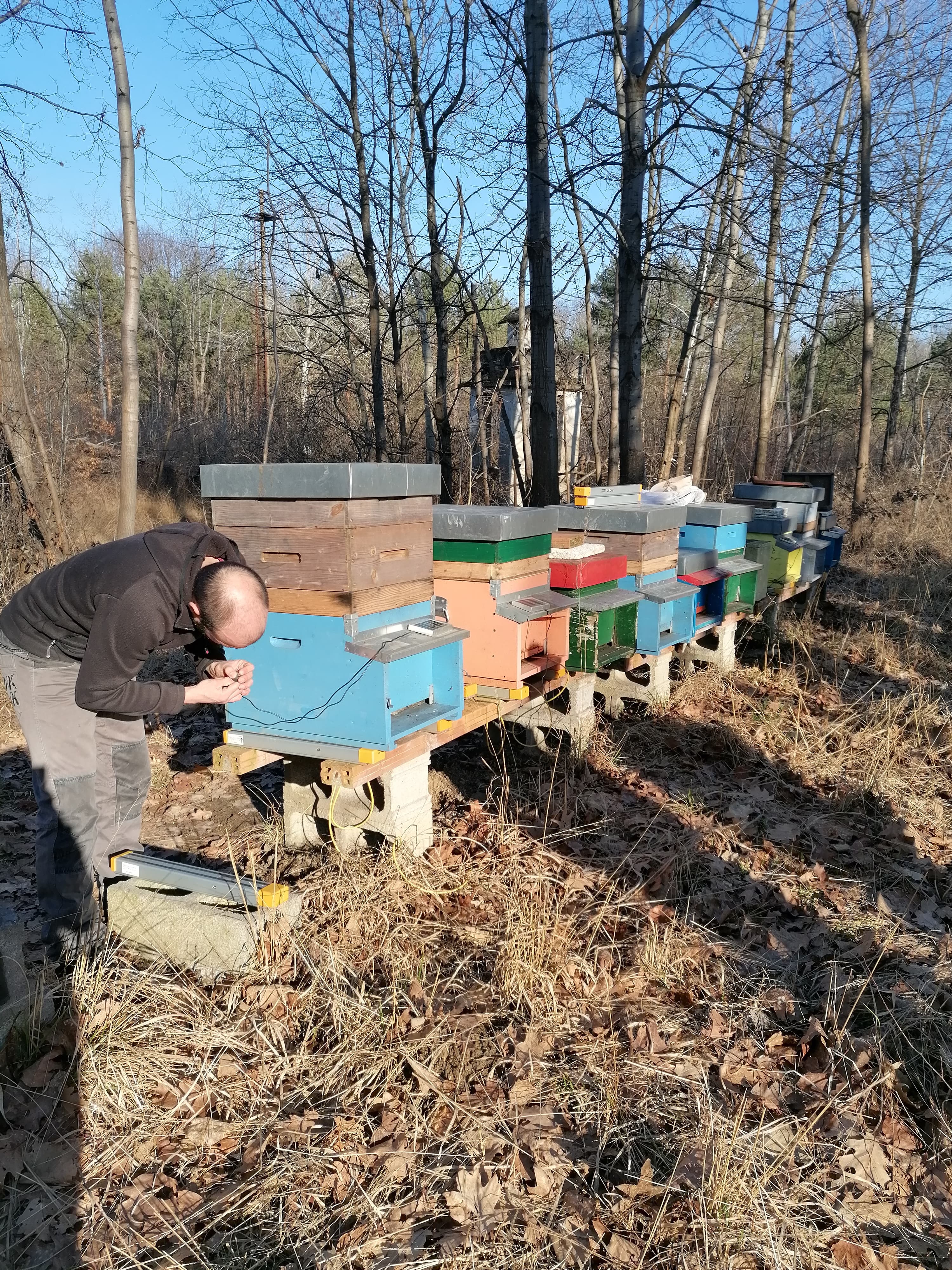 Parco delle Groane - Hive-Tech beehive