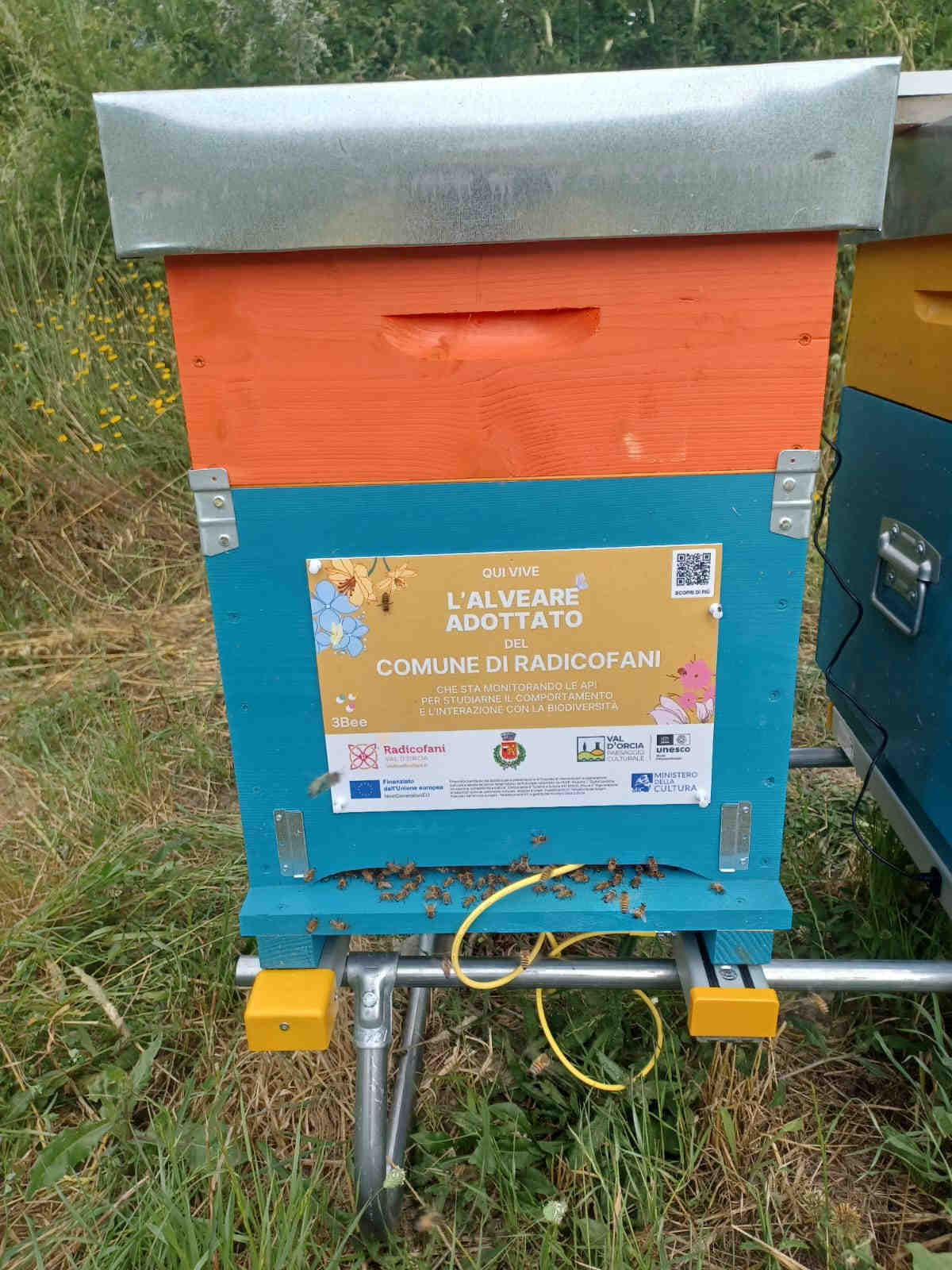 Hive-Tech monitoring setup
