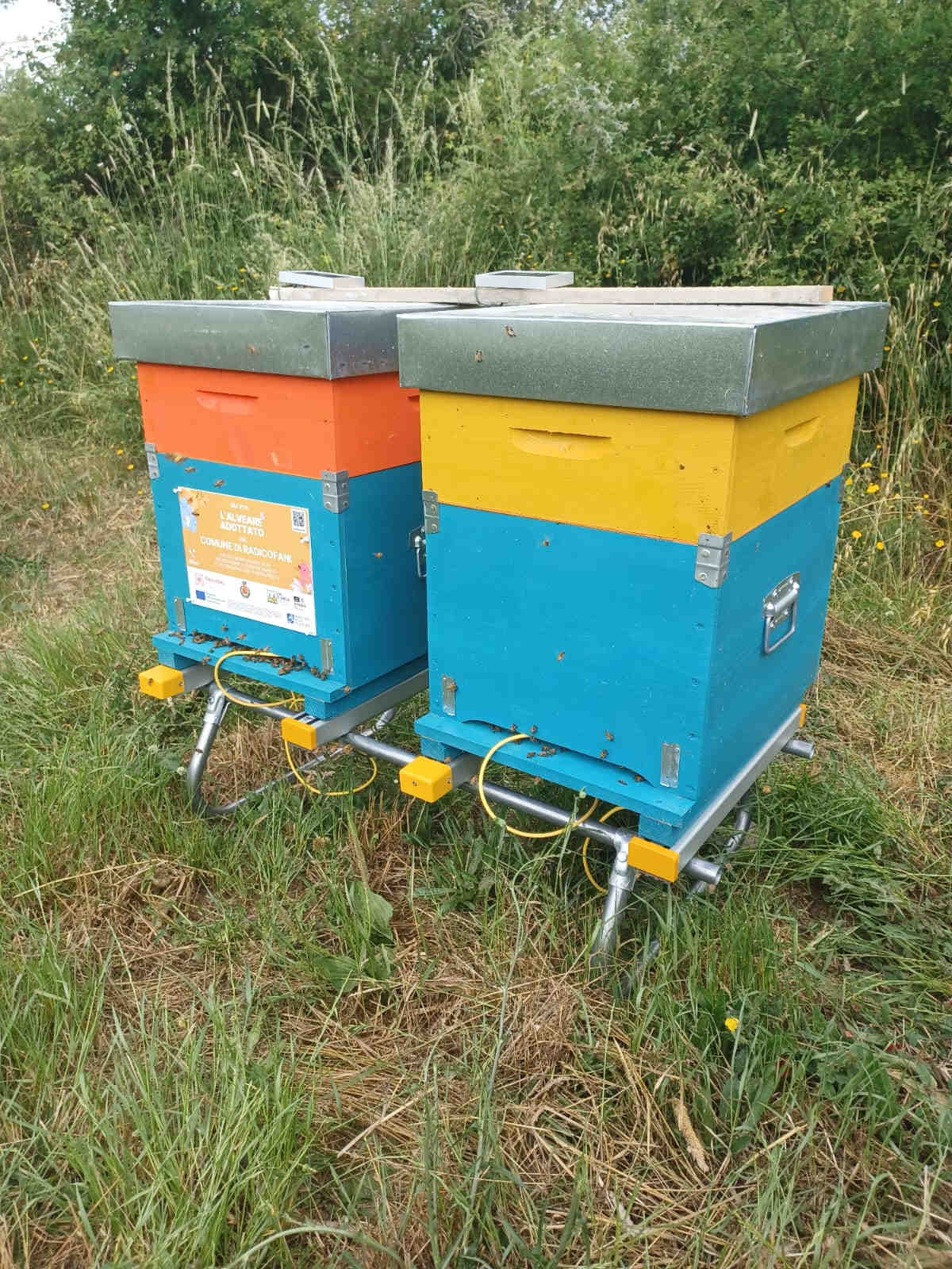 Hive-Tech sensor detail