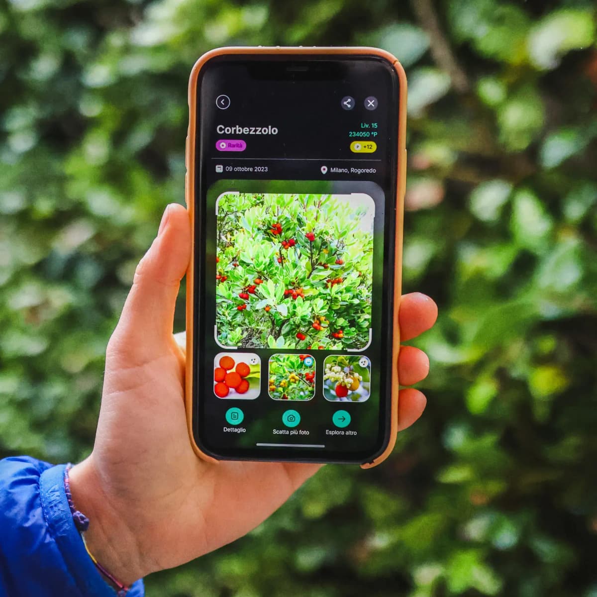 Interfaz de la app Biodiversa