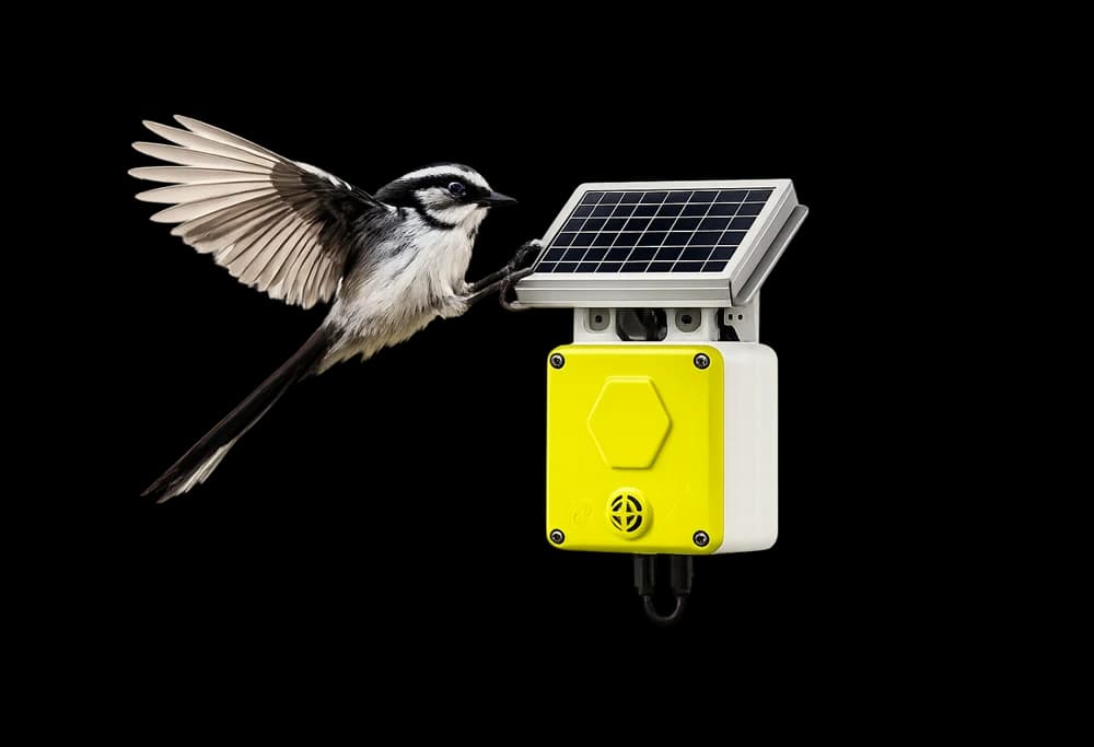 Birdy Sensor with bioacoustic technology