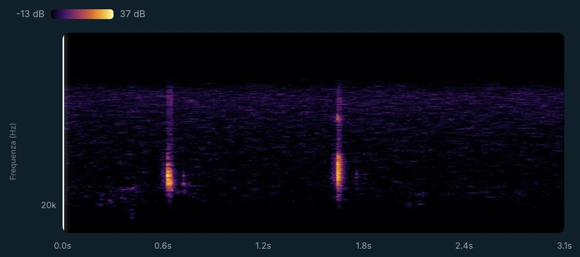 Spectrogramme des ultrasons détectés par Kiro lors du test sur le terrain