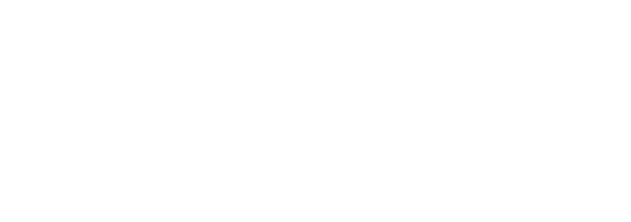 items.rinaPrimeValueServices.title