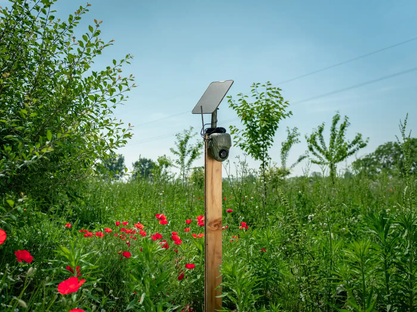 Vuoi dimostrare l'efficacia dei tuoi corridoi ecologici con tecnologie automatizzate?
