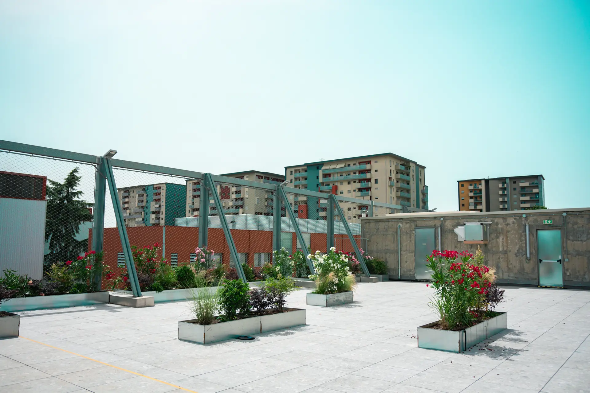 ¿Quieres obtener créditos de biodiversidad o certificaciones como BREEAM, LEED o BNG?
