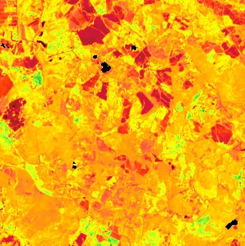 Mappa satellitare NDVI nel report scientifico