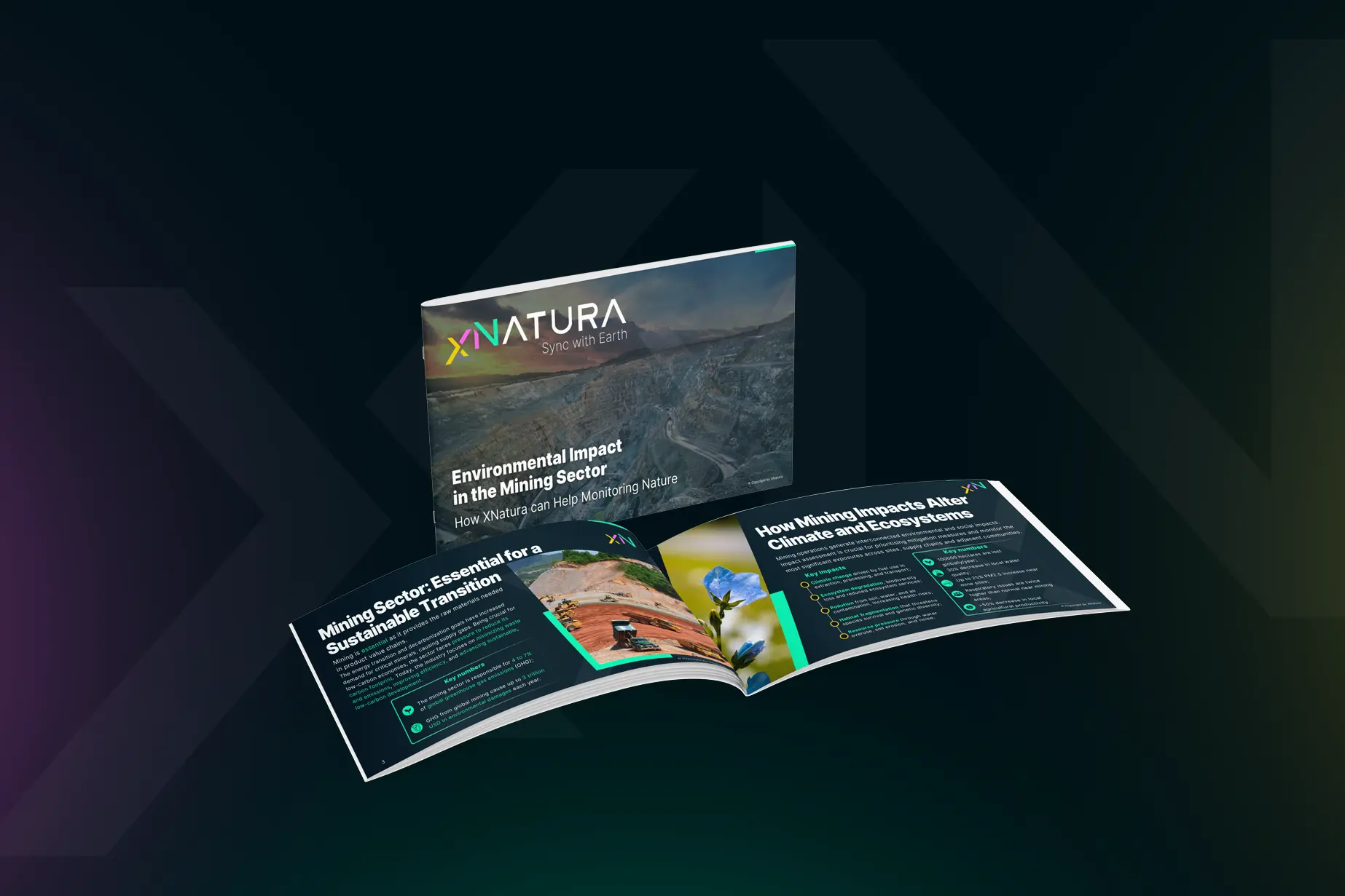 The Environmental Impact in the Mining Sector - How XNatura Can Help in Environmental Monitoring
