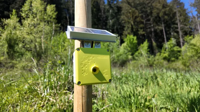 Acoustic sensor installed on the estate